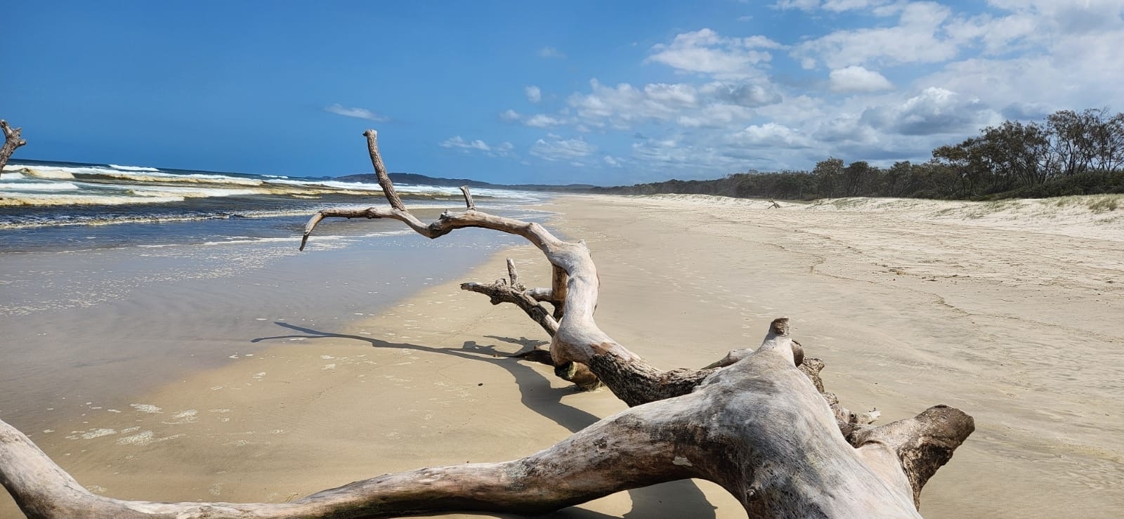 Das Beste der Küste: Von Sydney nach Cairns 16 Tage customer review photo 4