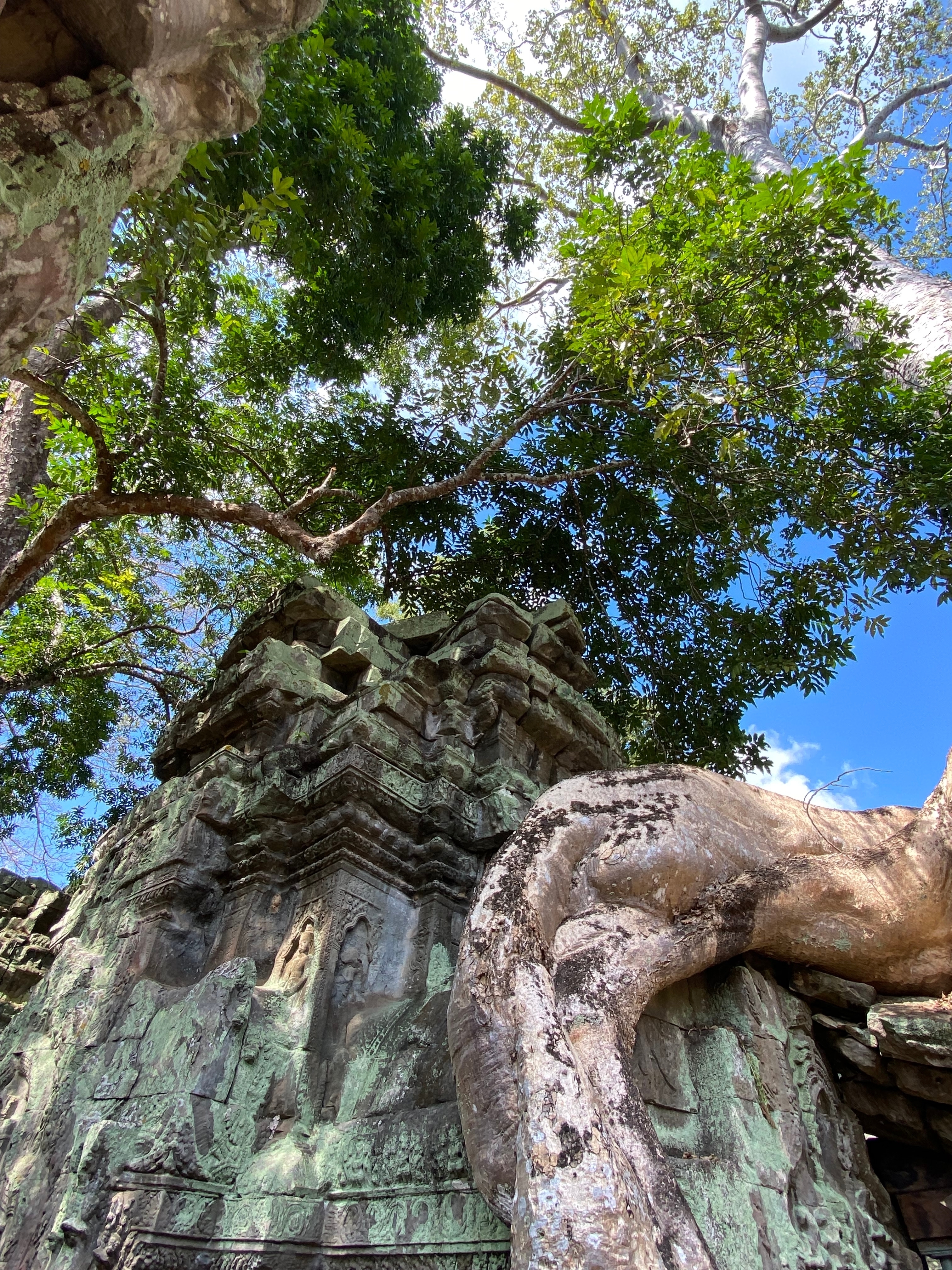 Kambodscha Highlights mit Angkor-Tempel 6 Tage customer review photo 5