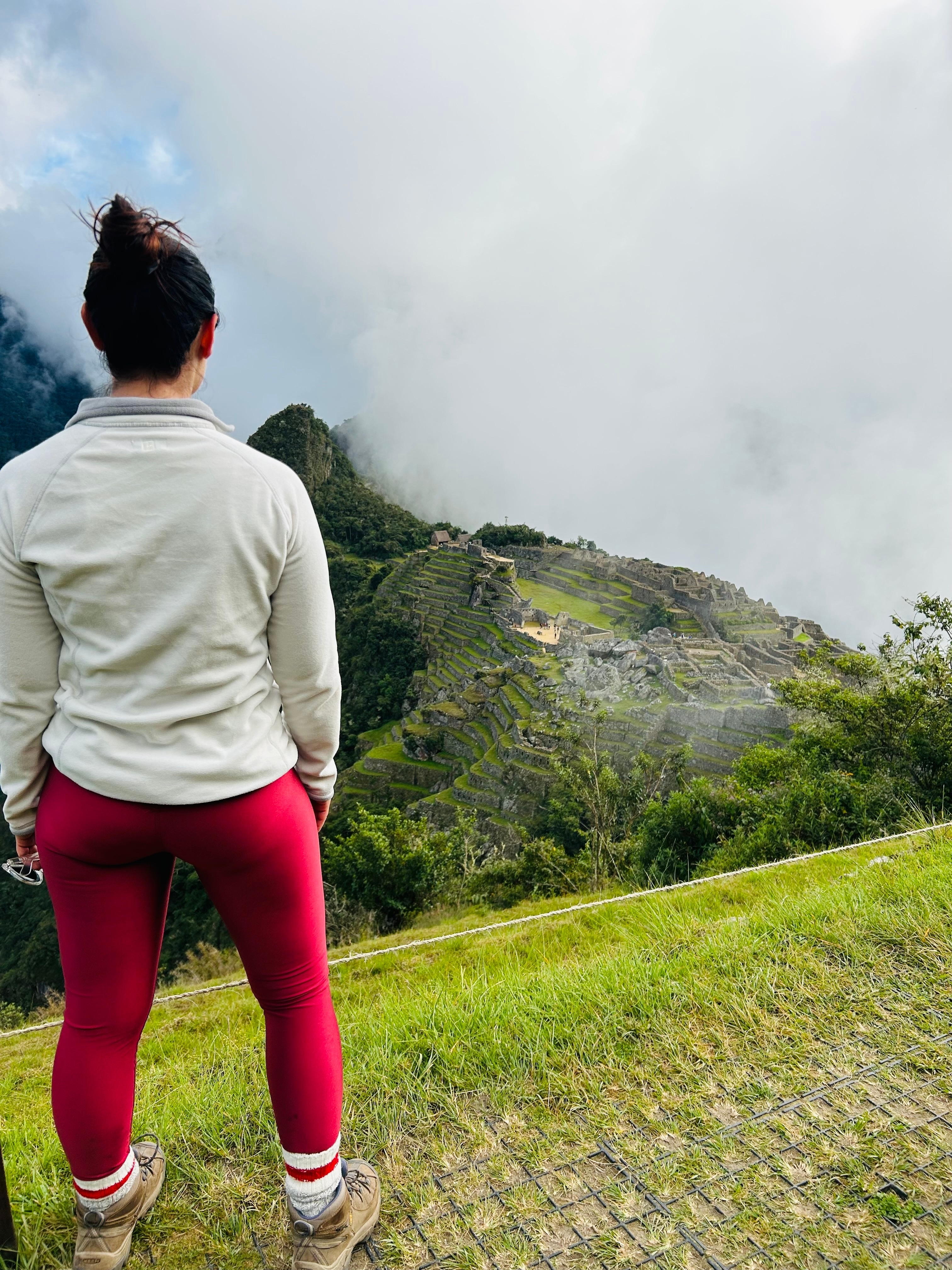 Person overlooking the terraces of Machu Picchu.