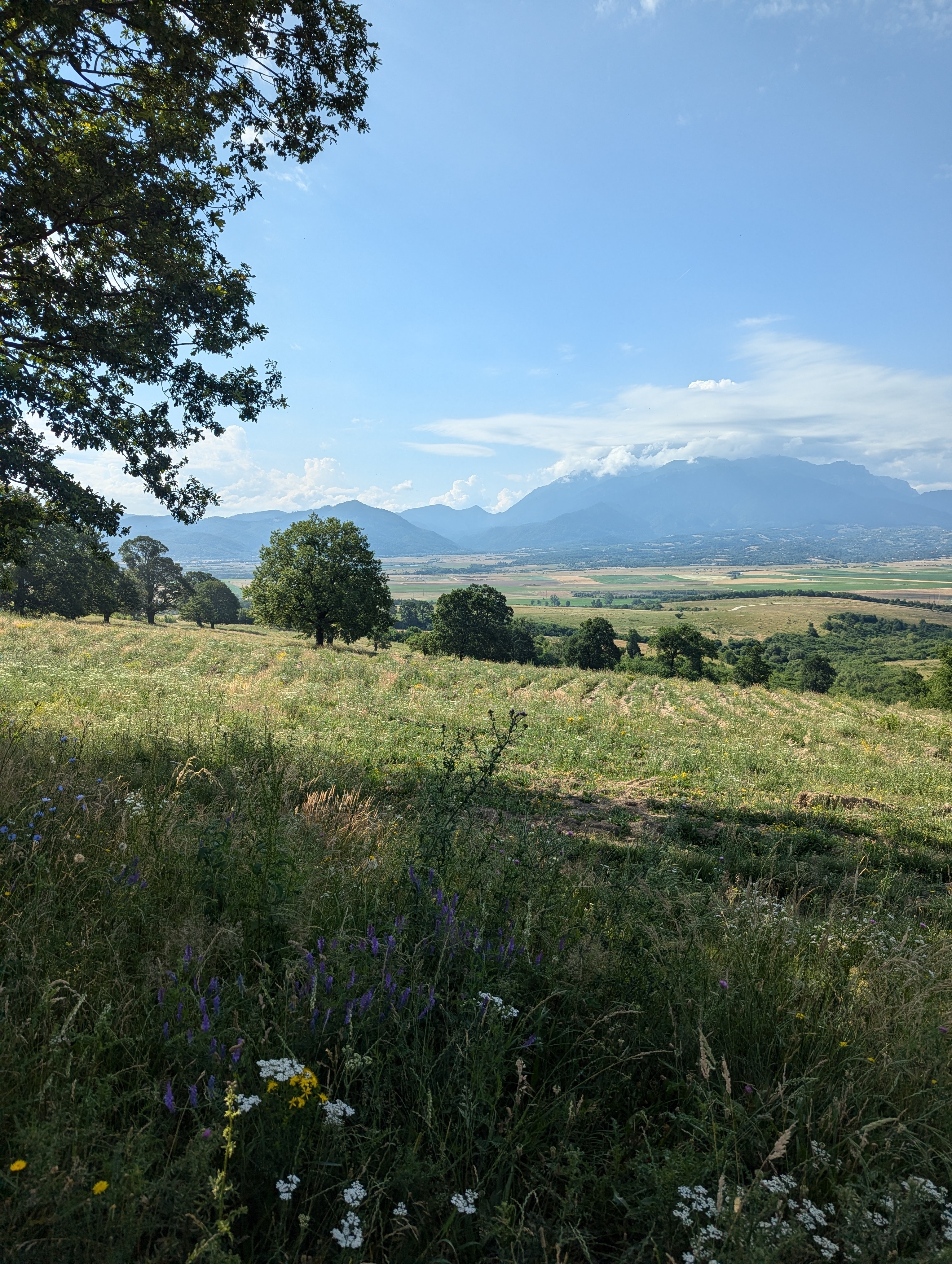 Das Beste aus Rumänien ab Bukarest: Burg Peles, Burg Bran, Bärenschutzgebiet, Brasov, Sighisoara, Viscri, Festung Rasnov 6 Snagov Kloster (inkl. Transfers) - Privatrundreise - 3 Tage customer review photo 2