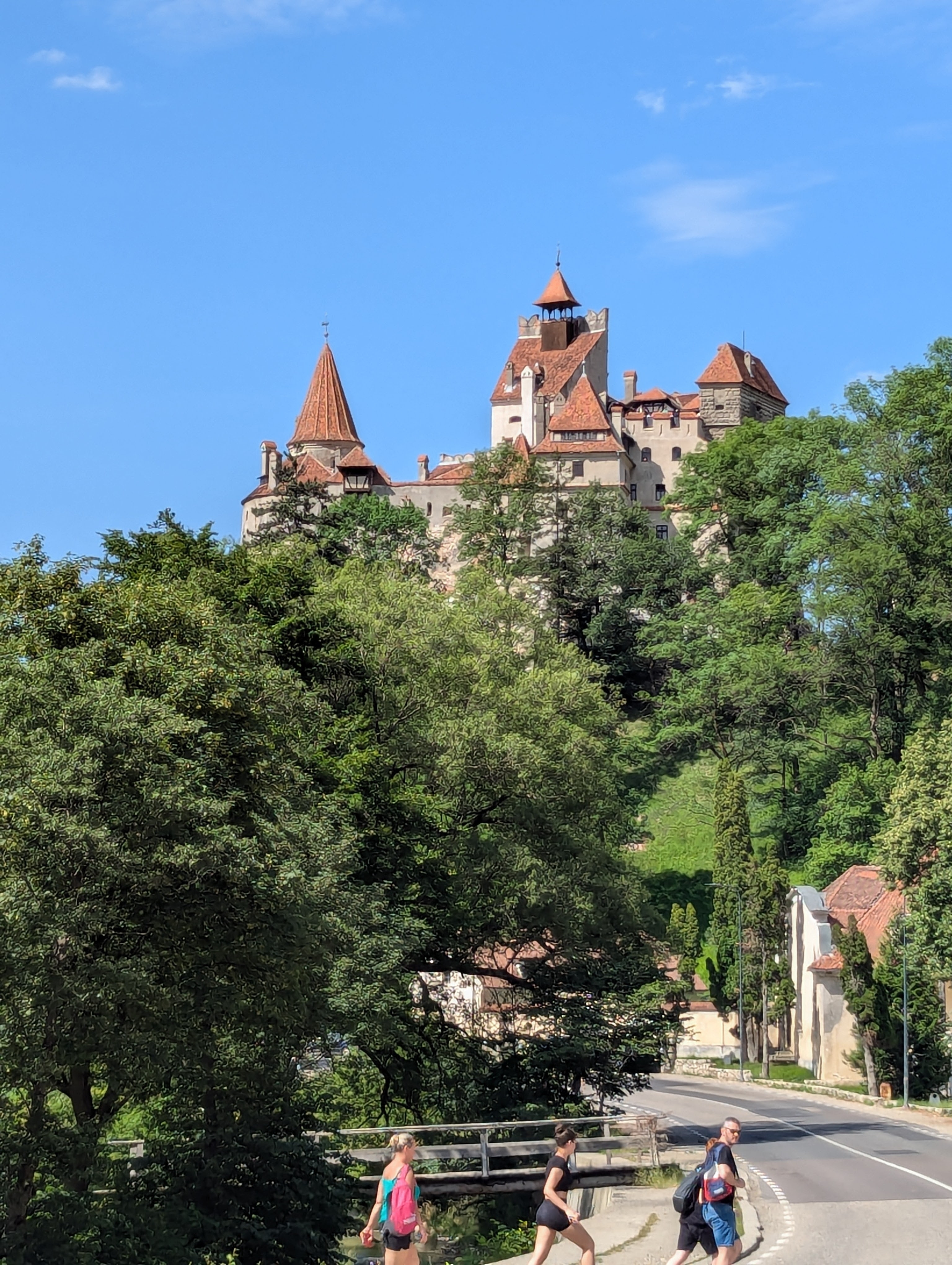 Das Beste aus Rumänien ab Bukarest: Burg Peles, Burg Bran, Bärenschutzgebiet, Brasov, Sighisoara, Viscri, Festung Rasnov 6 Snagov Kloster (inkl. Transfers) - Privatrundreise - 3 Tage customer review photo 5