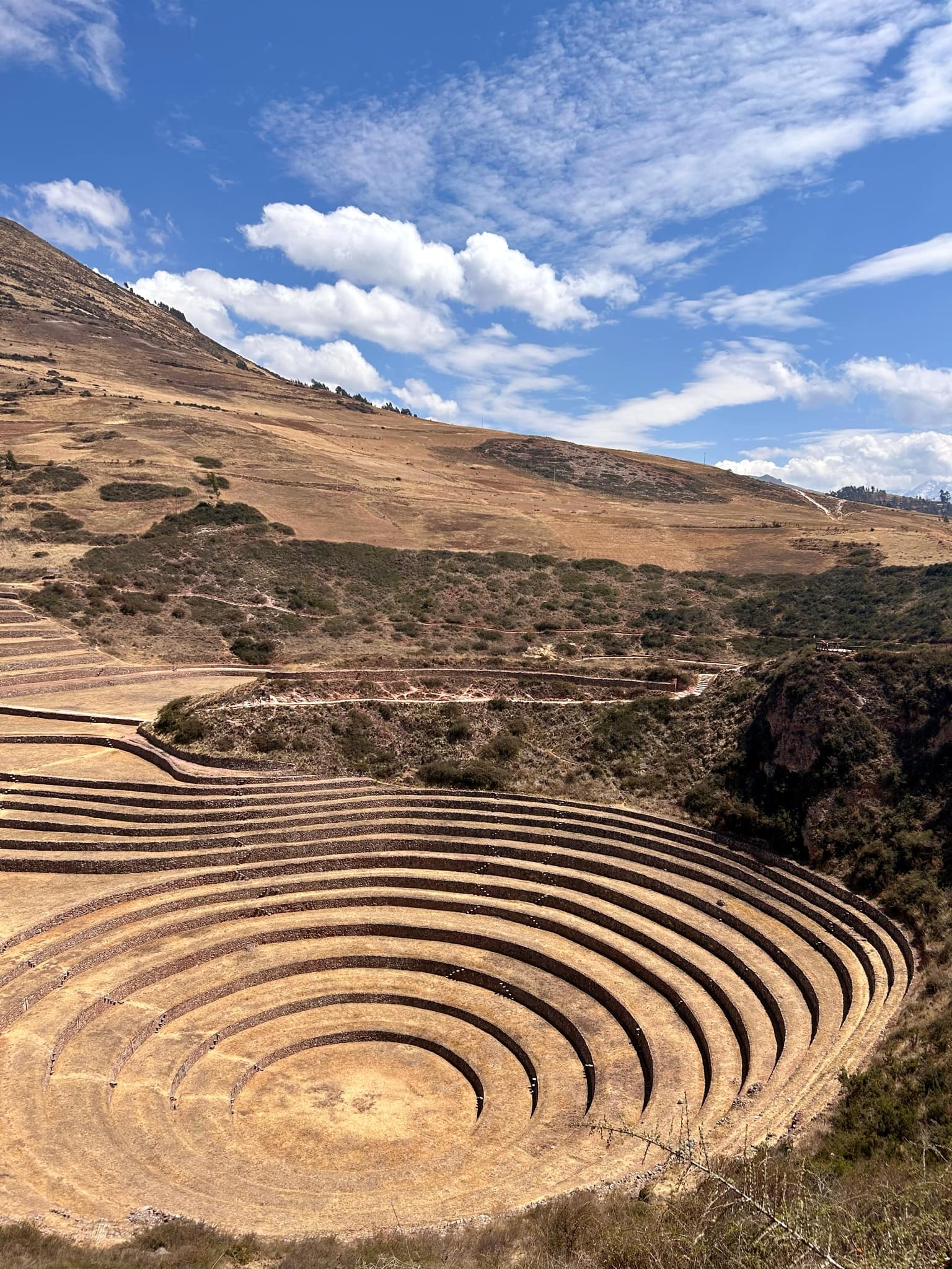 Agricultural terraces on a hillside in a rural area.