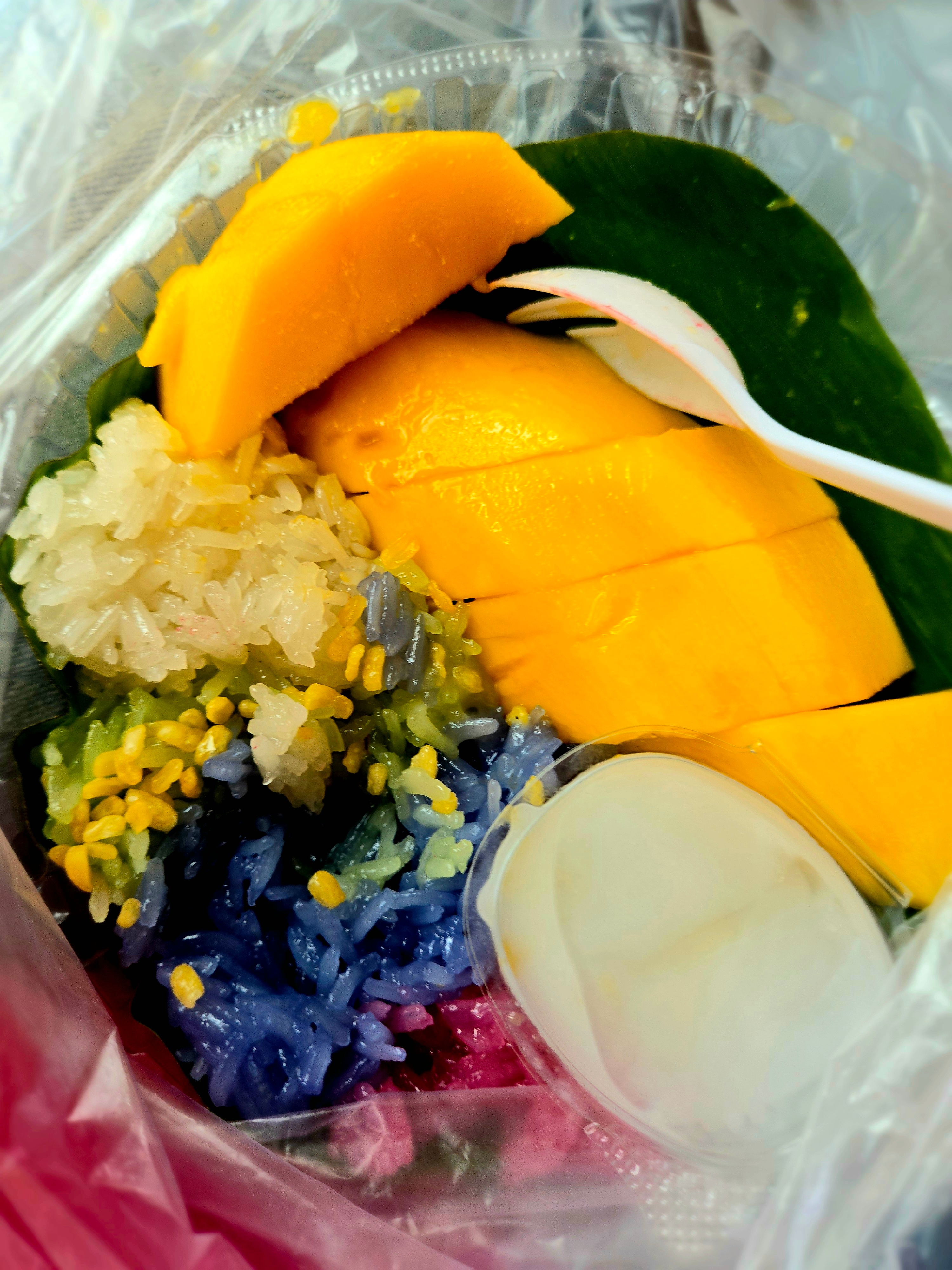 Close-up of mango and sticky rice dessert.