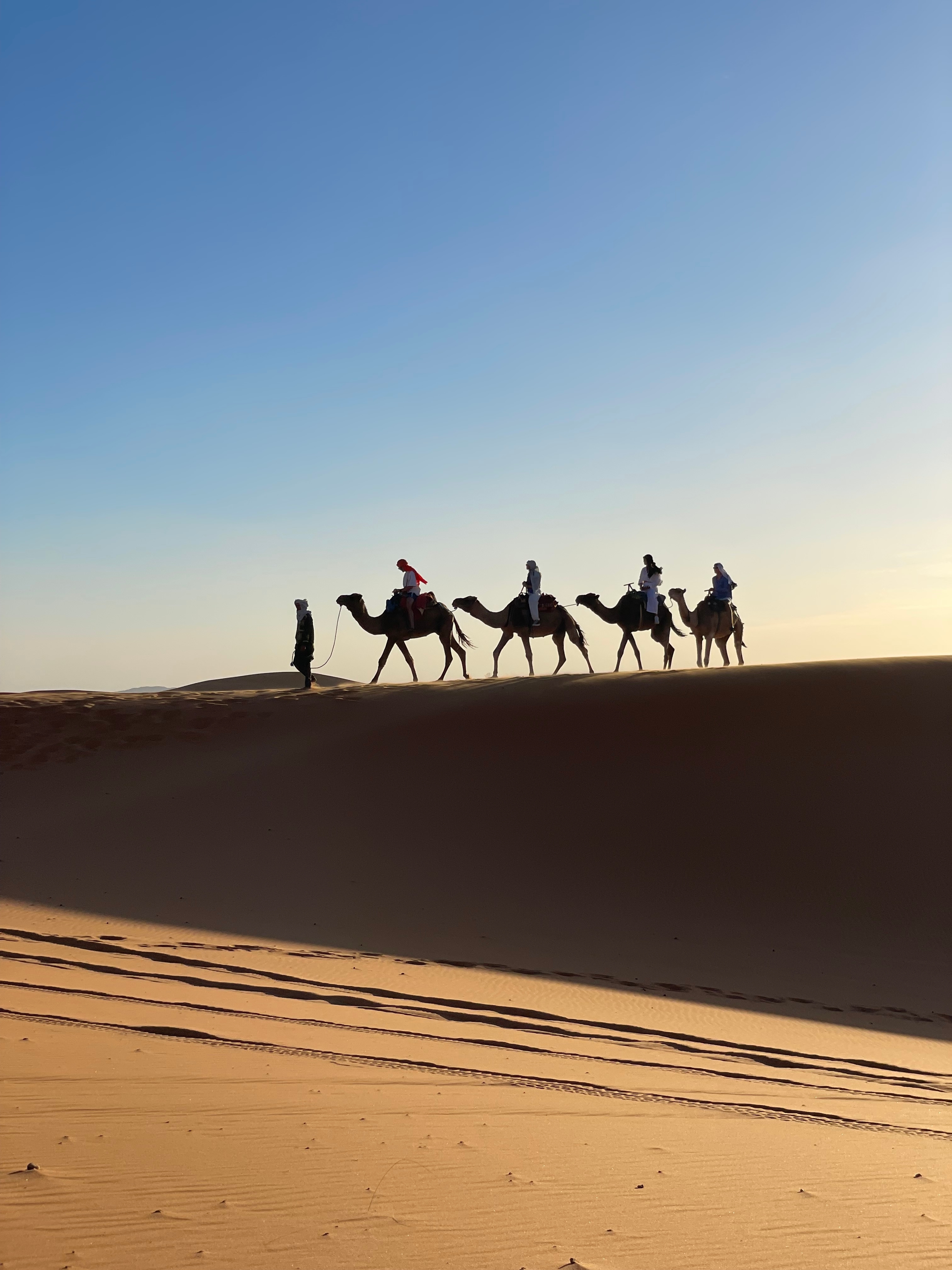 6 jours - Le meilleur du Maroc customer review photo 4