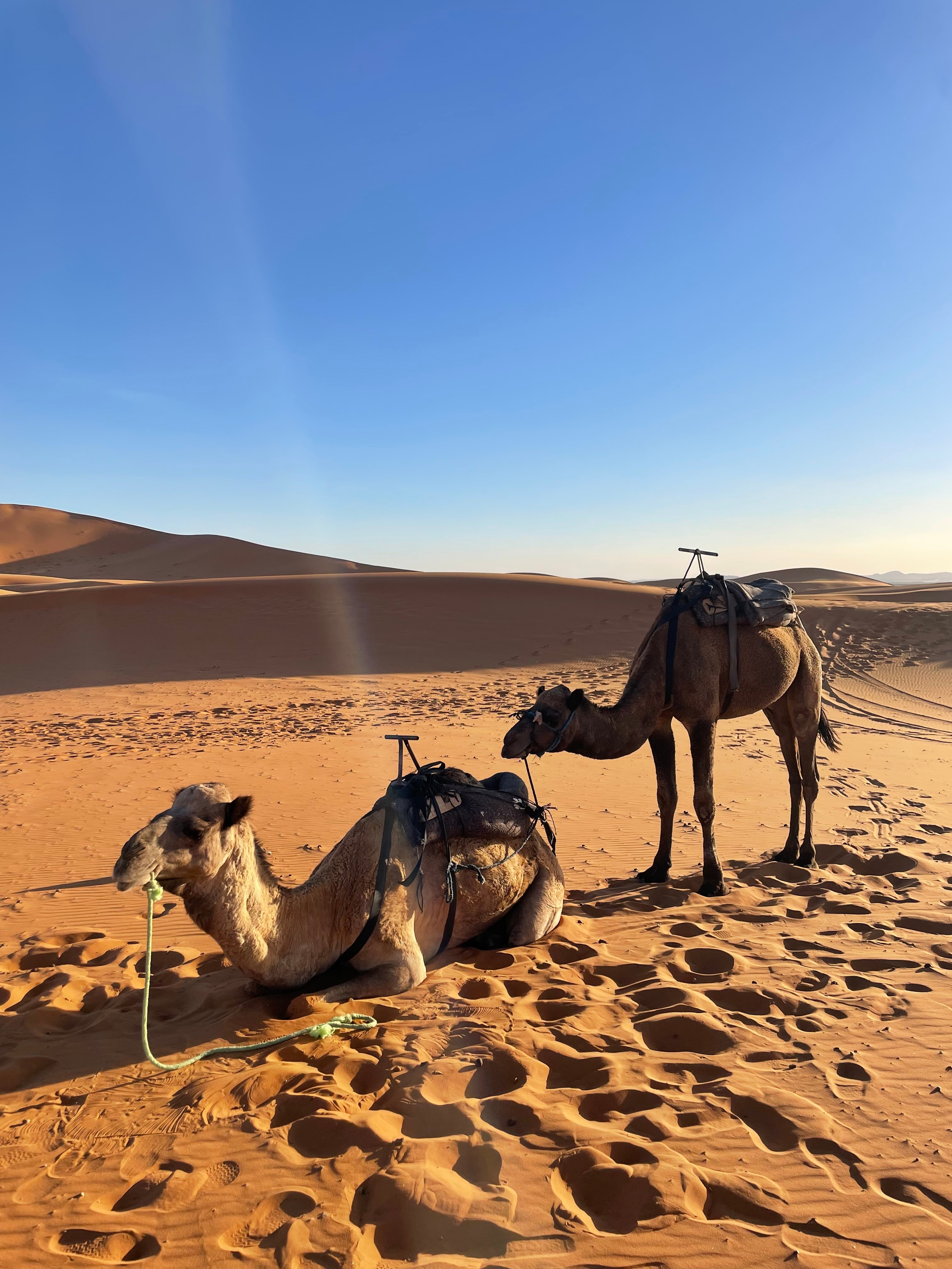 6 jours - Le meilleur du Maroc customer review photo 5