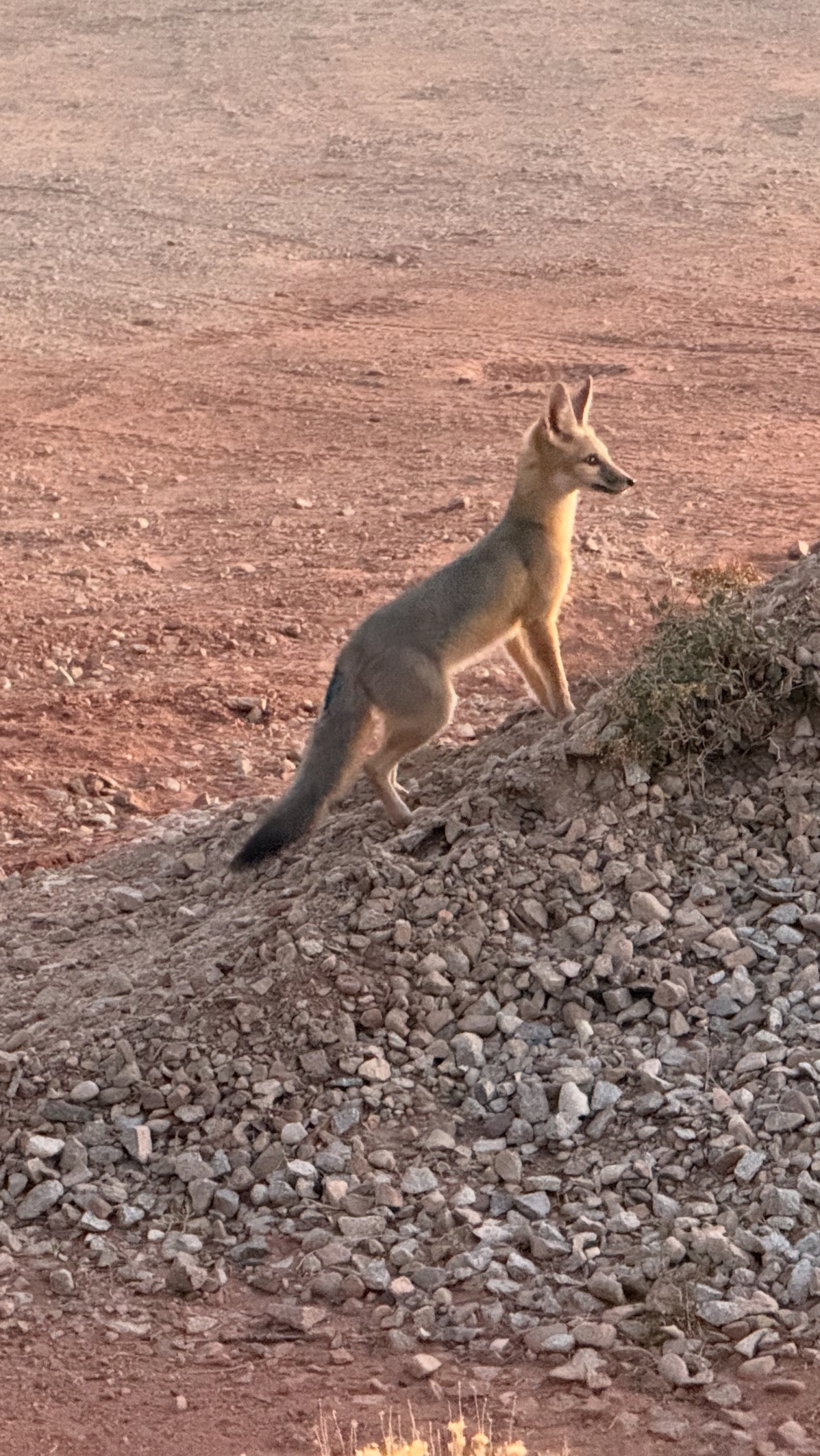 Grand Canyon & südwest Nationalpark Rundreise - 7 Tage customer review photo 3