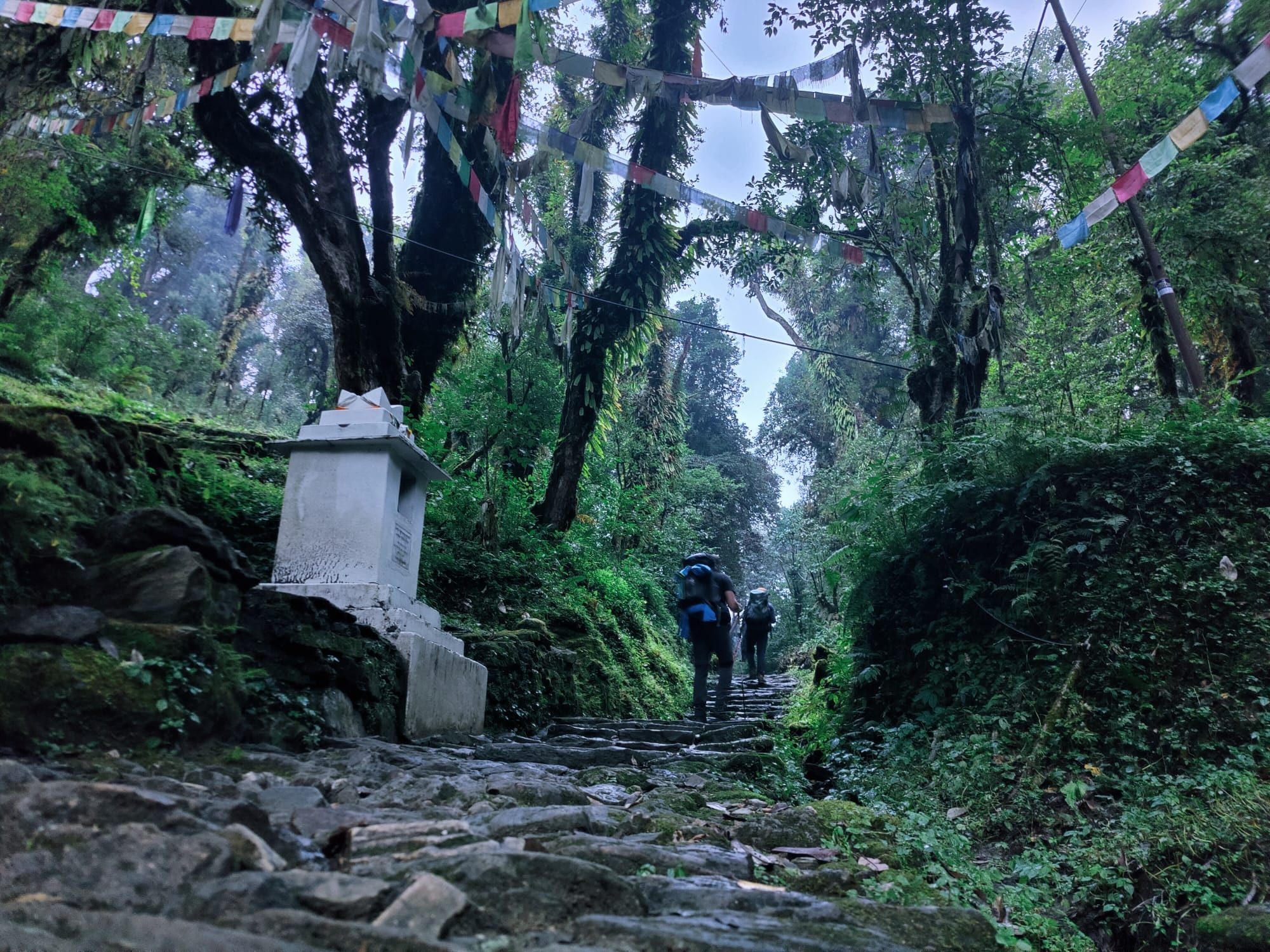 Everest X-press Trek Via Lukla (2860 m) customer review photo 4