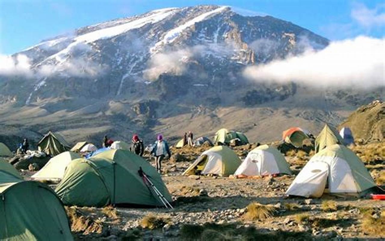 Kilimanjaro beklimmen via Marangu Route 8 dagen customer review photo 1