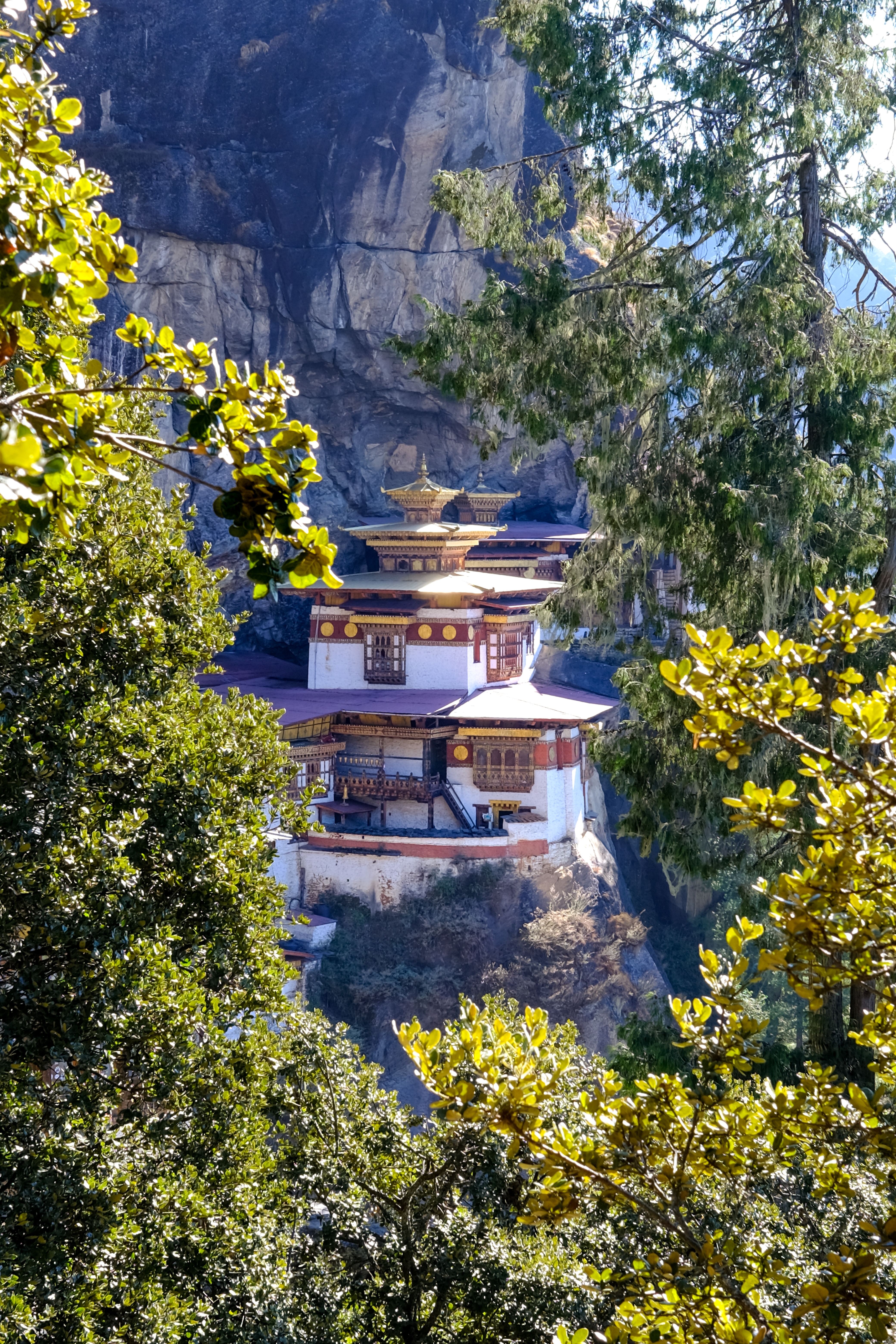 Tiger's Nest Monastery perched on a cliff amidst lush nature in Bhutan.