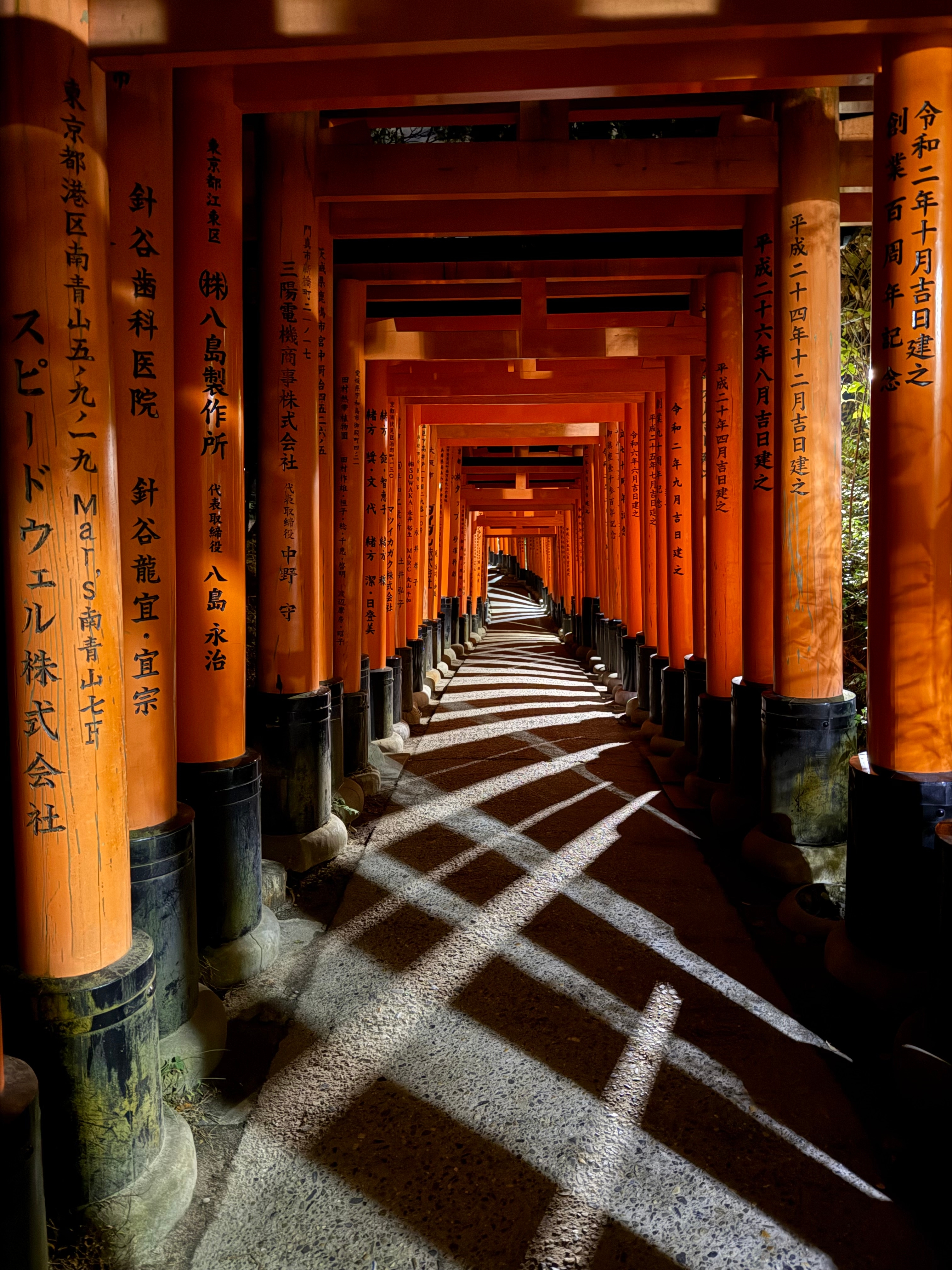 Klassisches Japan mit One Life Adventures 11 Tage customer review photo 1