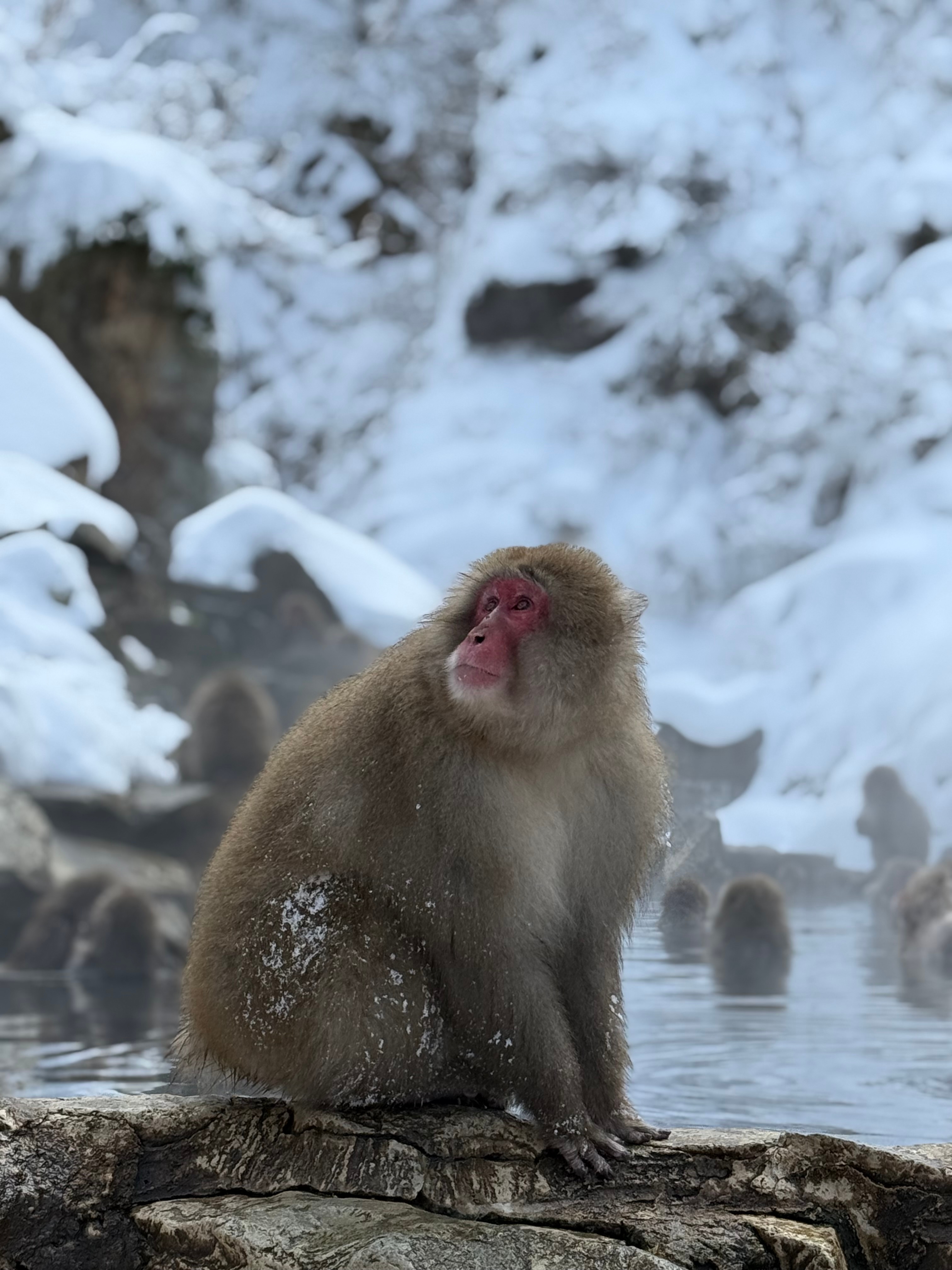 Klassisches Japan mit One Life Adventures 11 Tage customer review photo 1