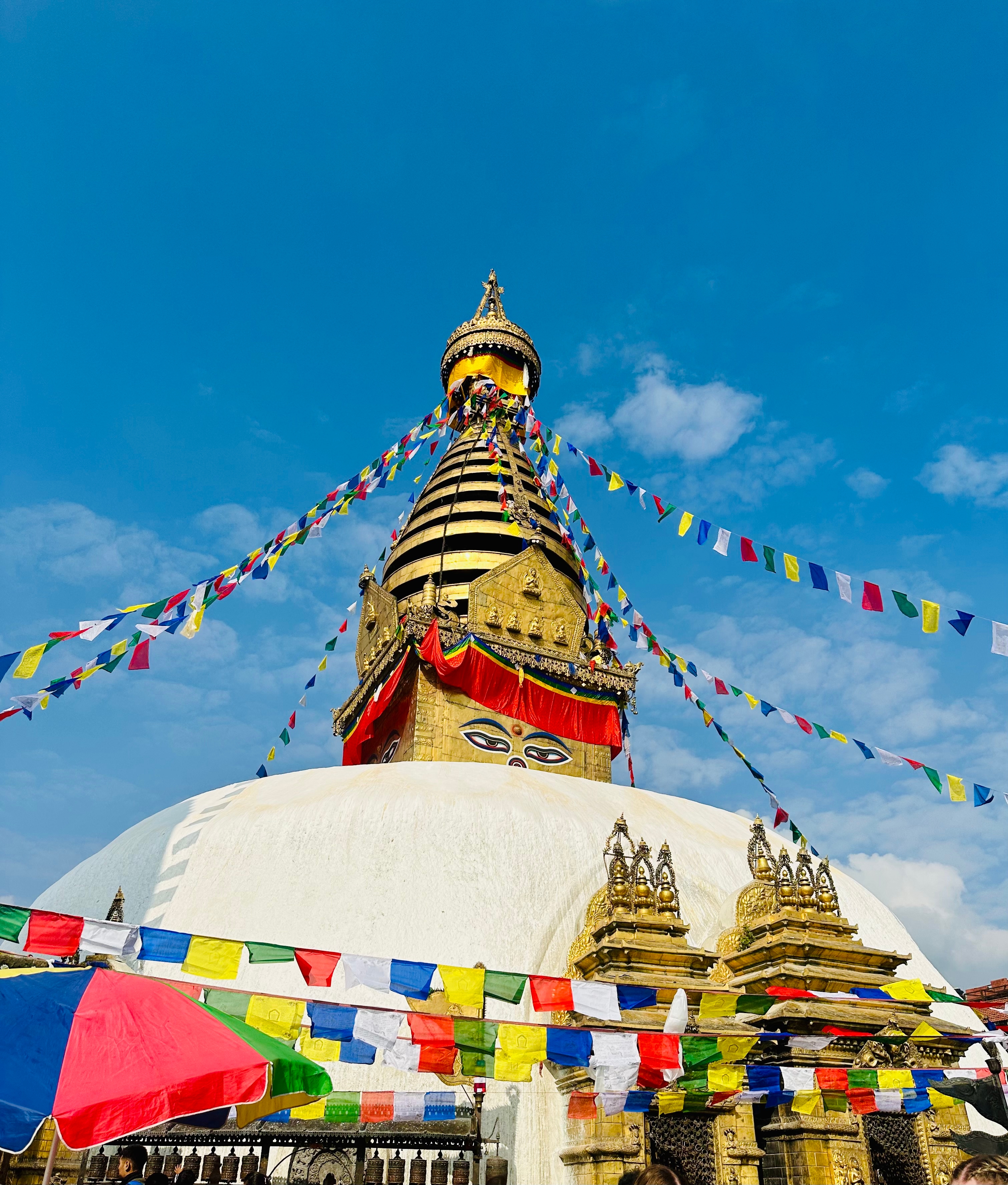Ongelooflijke Indiareis met Magisch Nepal - 14 dagen customer review photo 5