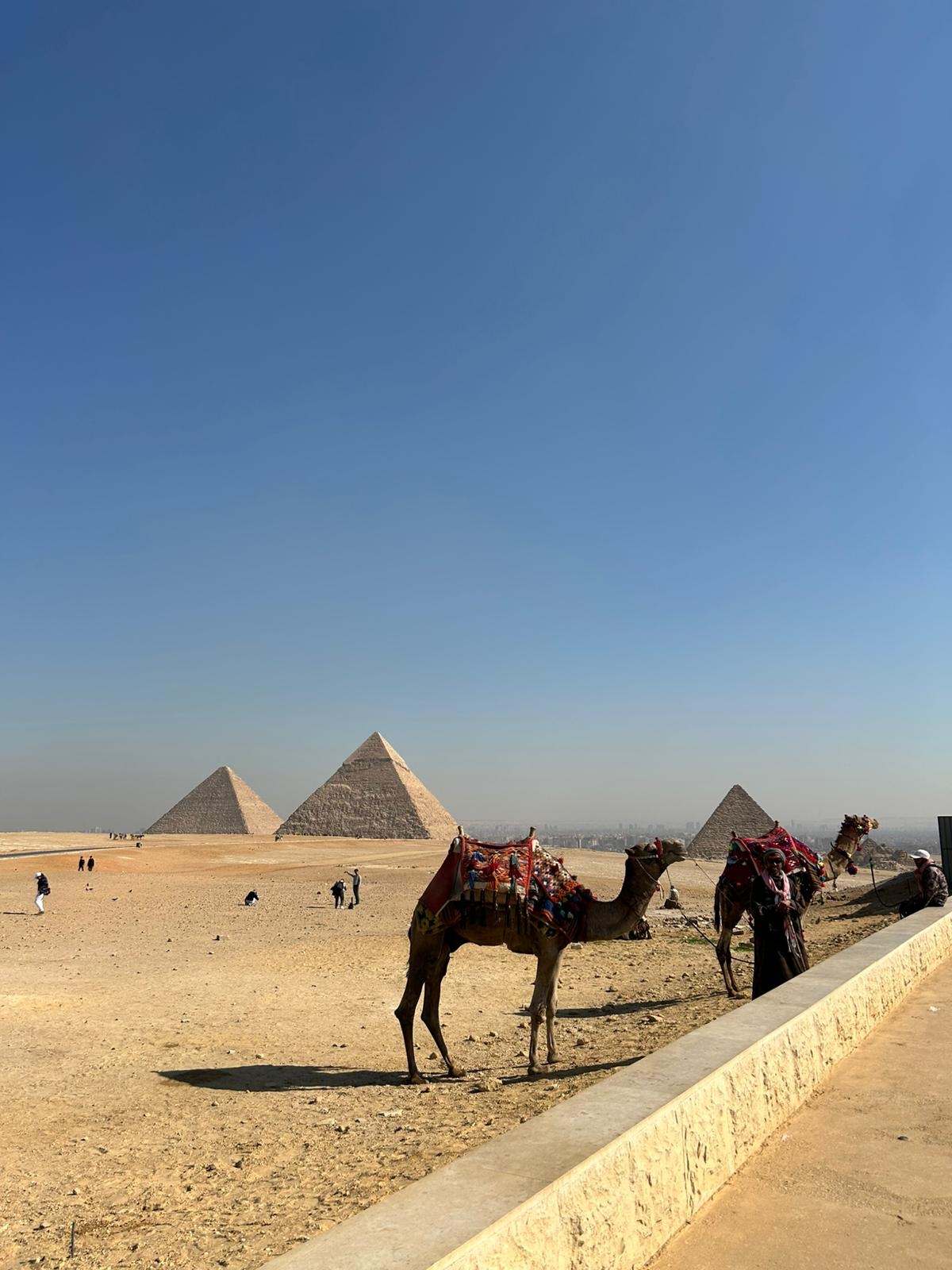 Circuit guidé de luxe en Égypte avec croisière sur le Nil et vol 5*. customer review photo 5