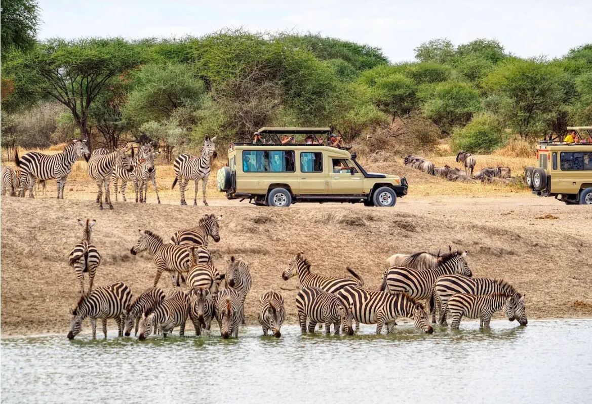 4 Dagen 3 Nachten Tarangire, Serengeti & Ngorongoro Lodge Safari customer review photo 1