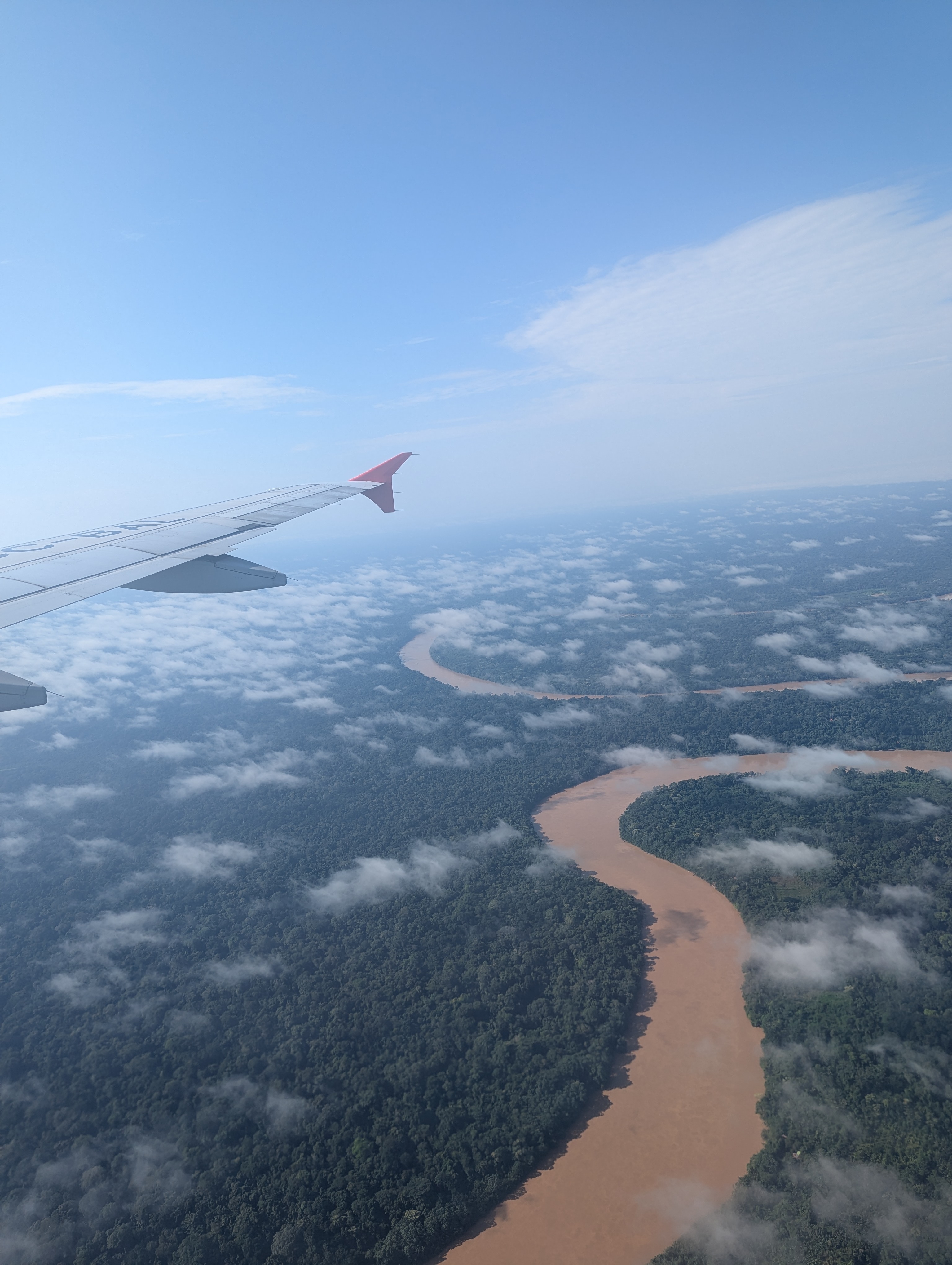 Aerial view of a winding river through lush forest.