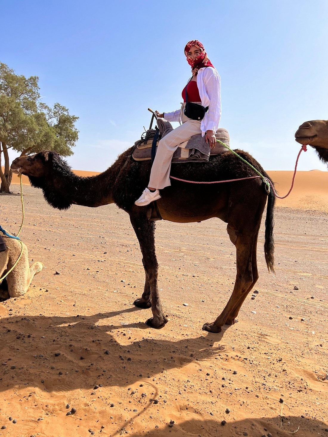 Marokko ab Casablanca Rundreise - 7 Tage customer review photo 3