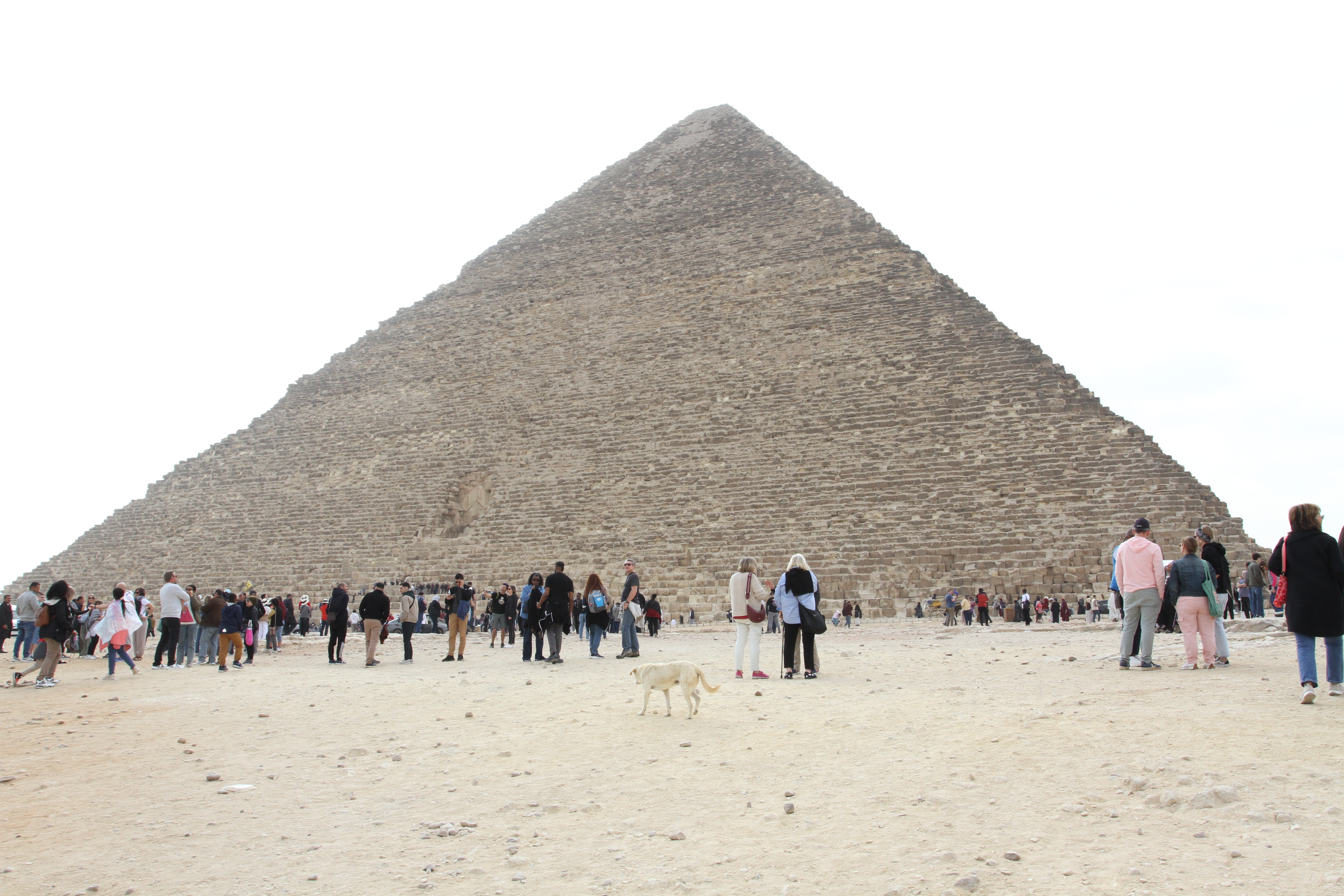 Magic of Egypt with the GEM museum tour. (free All inclusive upgrade hurghada resort) customer review photo 1