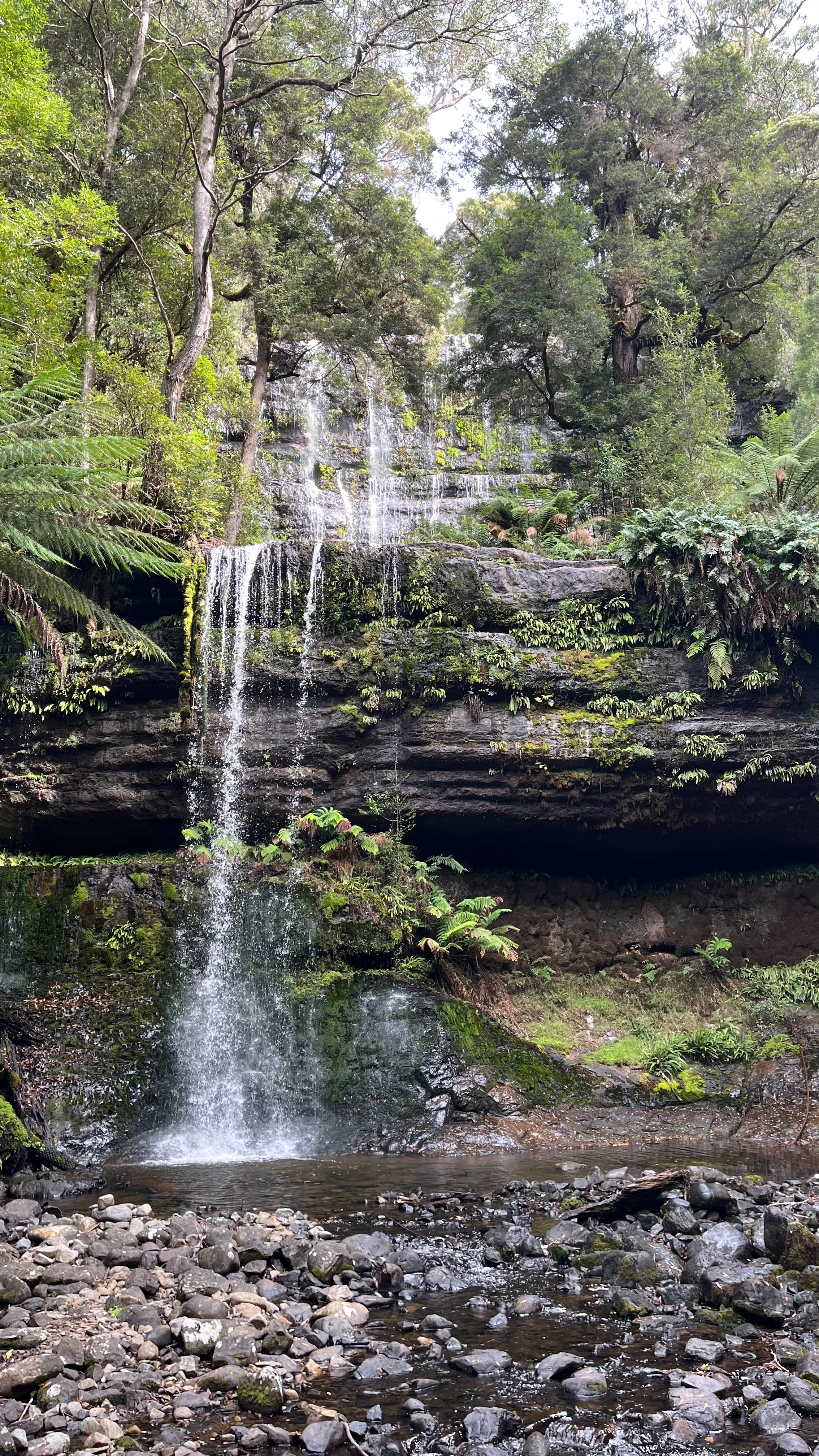 Waterfall cascading over a mossy cliff.