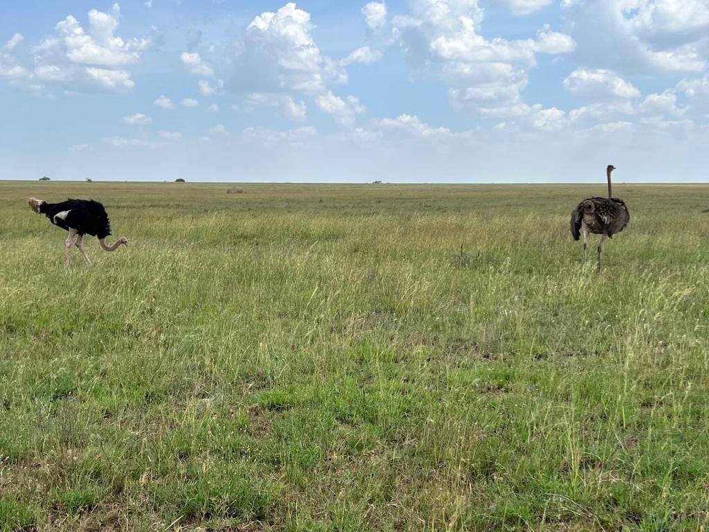 Safari cultural por la naturaleza en Tanzania customer review photo 5