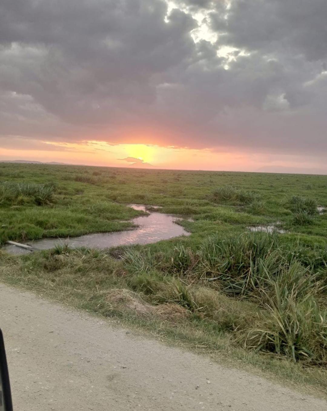 Sunset view over a grassy landscape with a waterway.