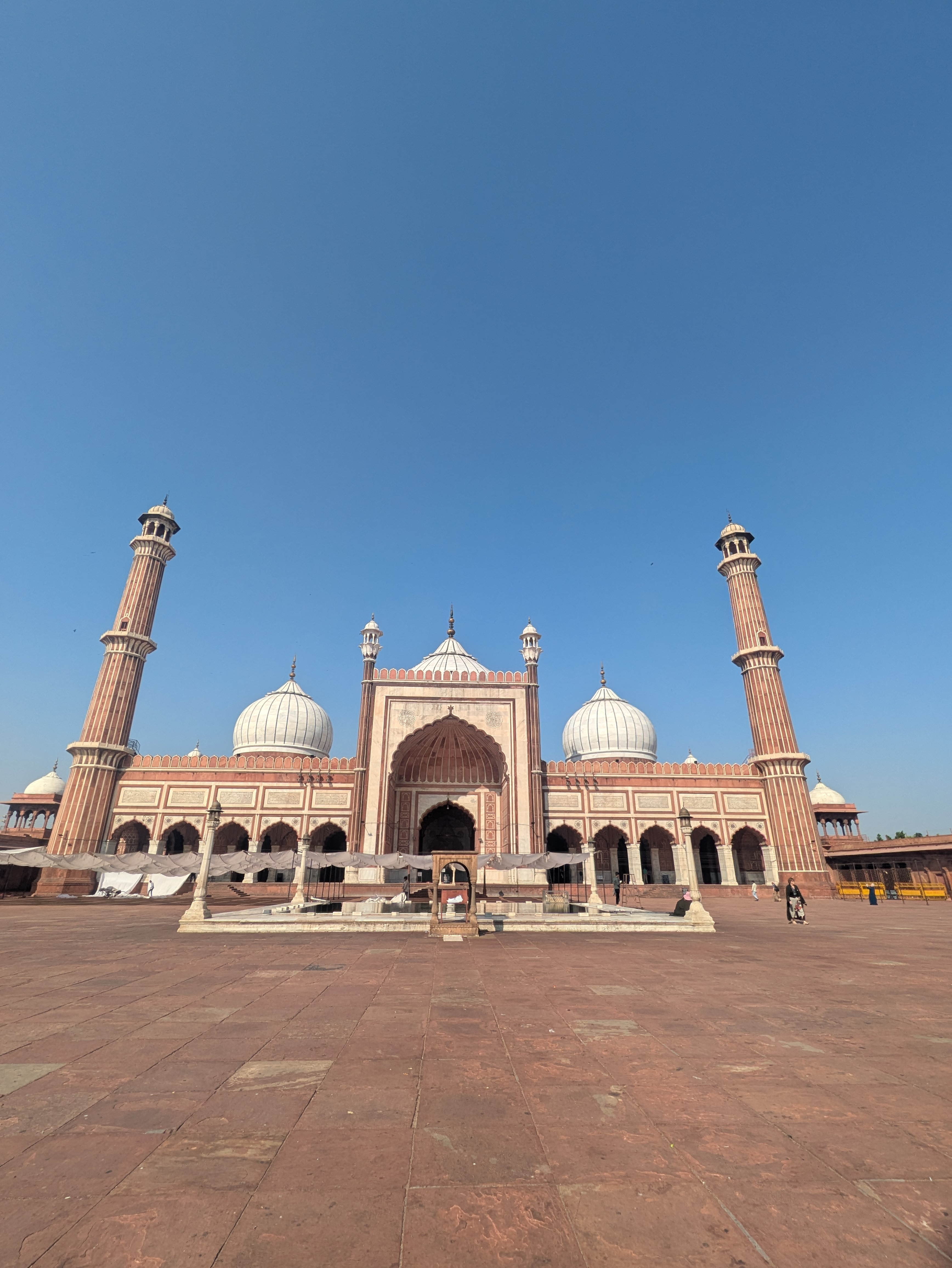 Golden Triangle Tour With Ranthambore With Luxury 4 Star Hotels customer review photo 3