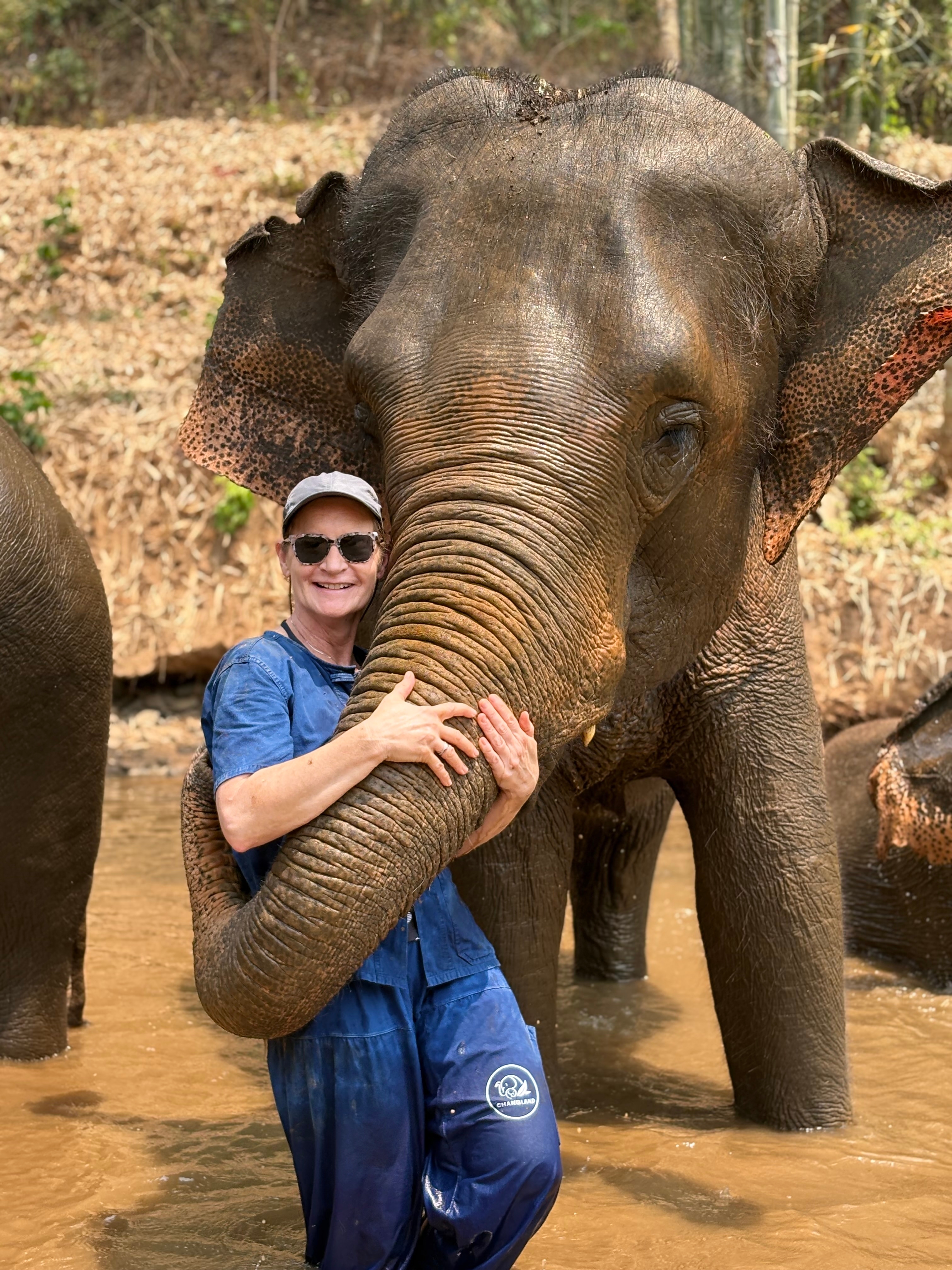 A person joyfully hugging an elephant.