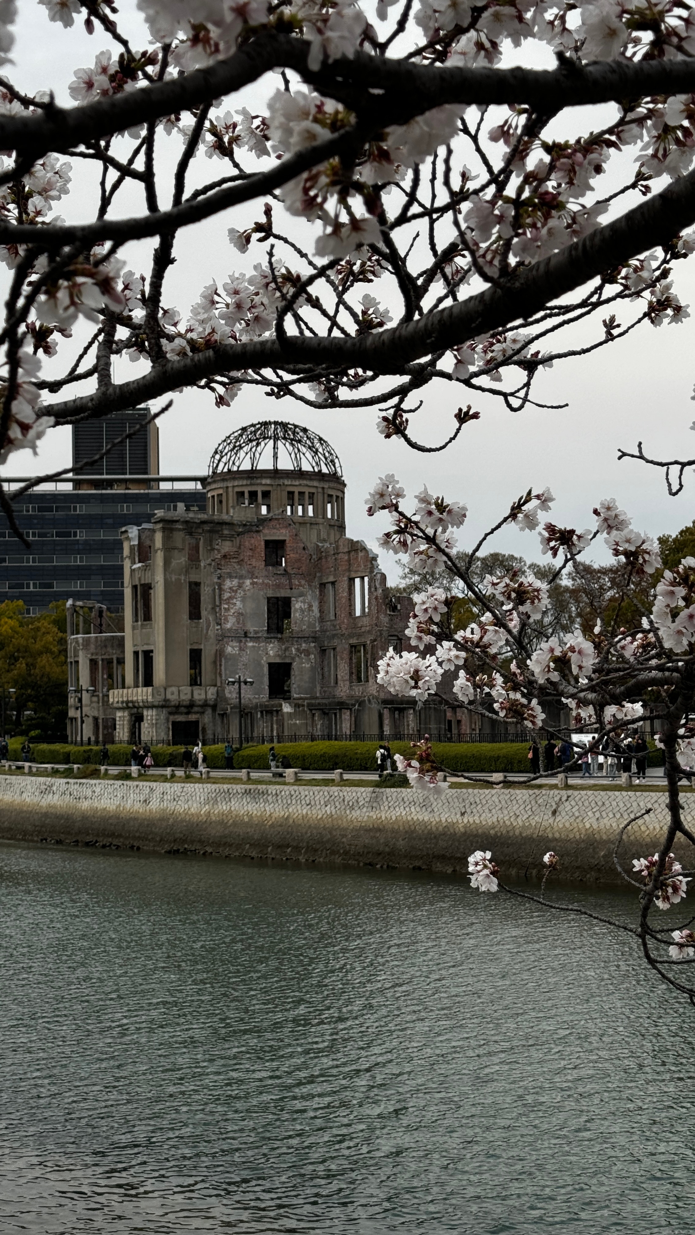 The Atomic Bomb Dome with cherry blossoms in foreground.