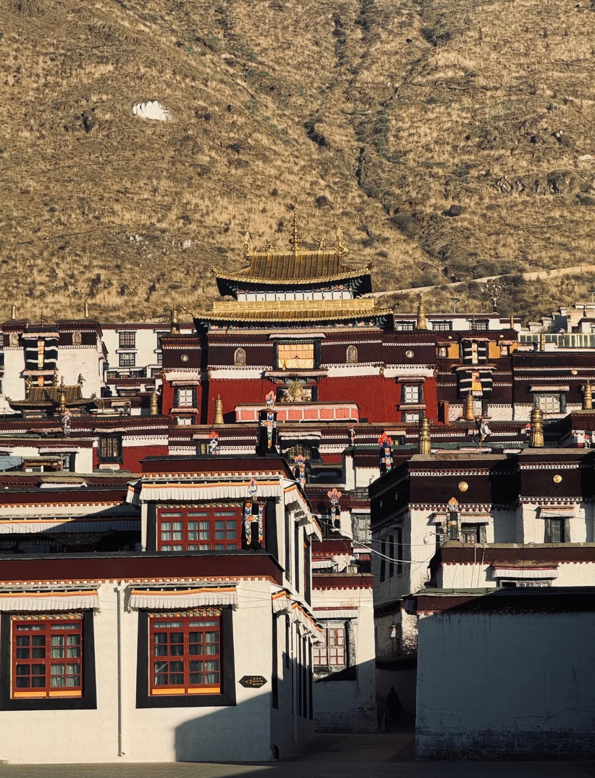A traditional Tibetan monastery on a hillside.
