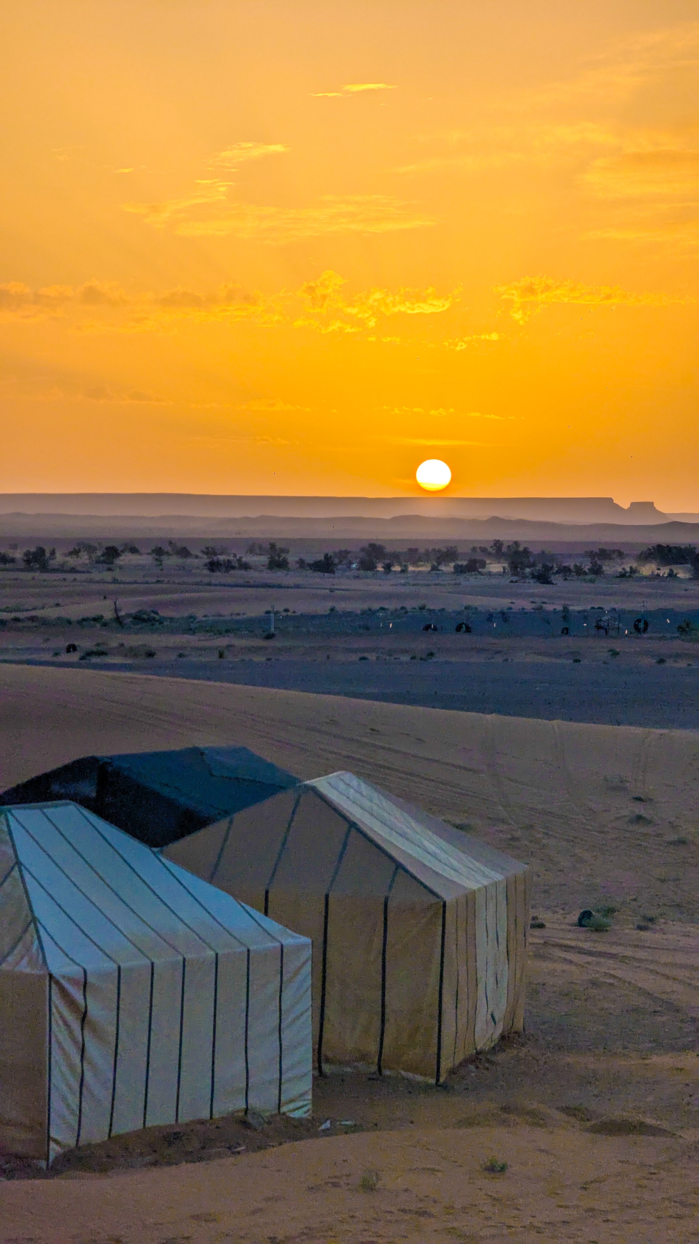 Circuito de 3 días y 2 noches por el desierto desde Fez a través del desierto hasta Marrakech customer review photo 4