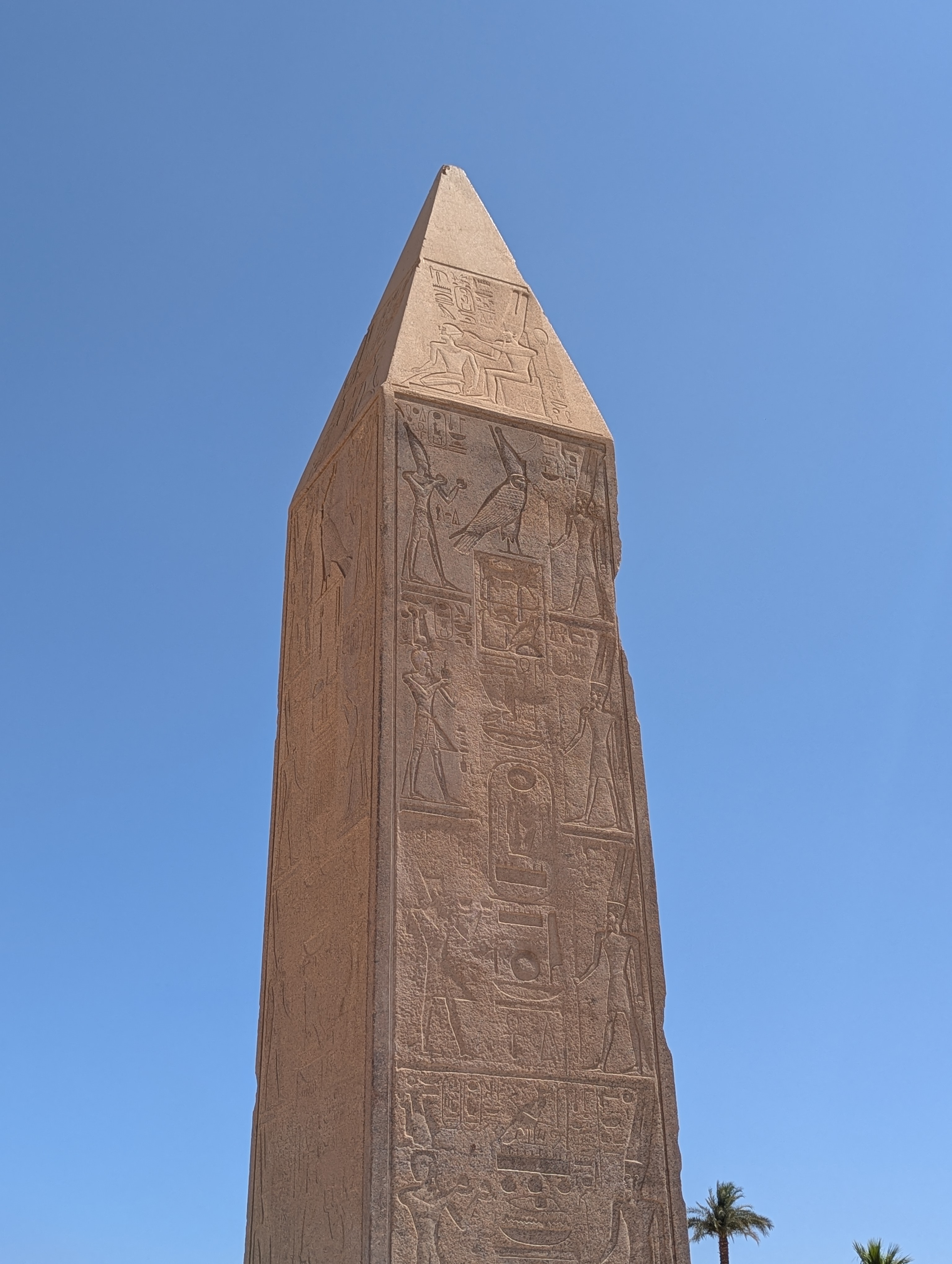 Magic of Egypt with the GEM museum tour. (free All inclusive upgrade hurghada resort) customer review photo 4