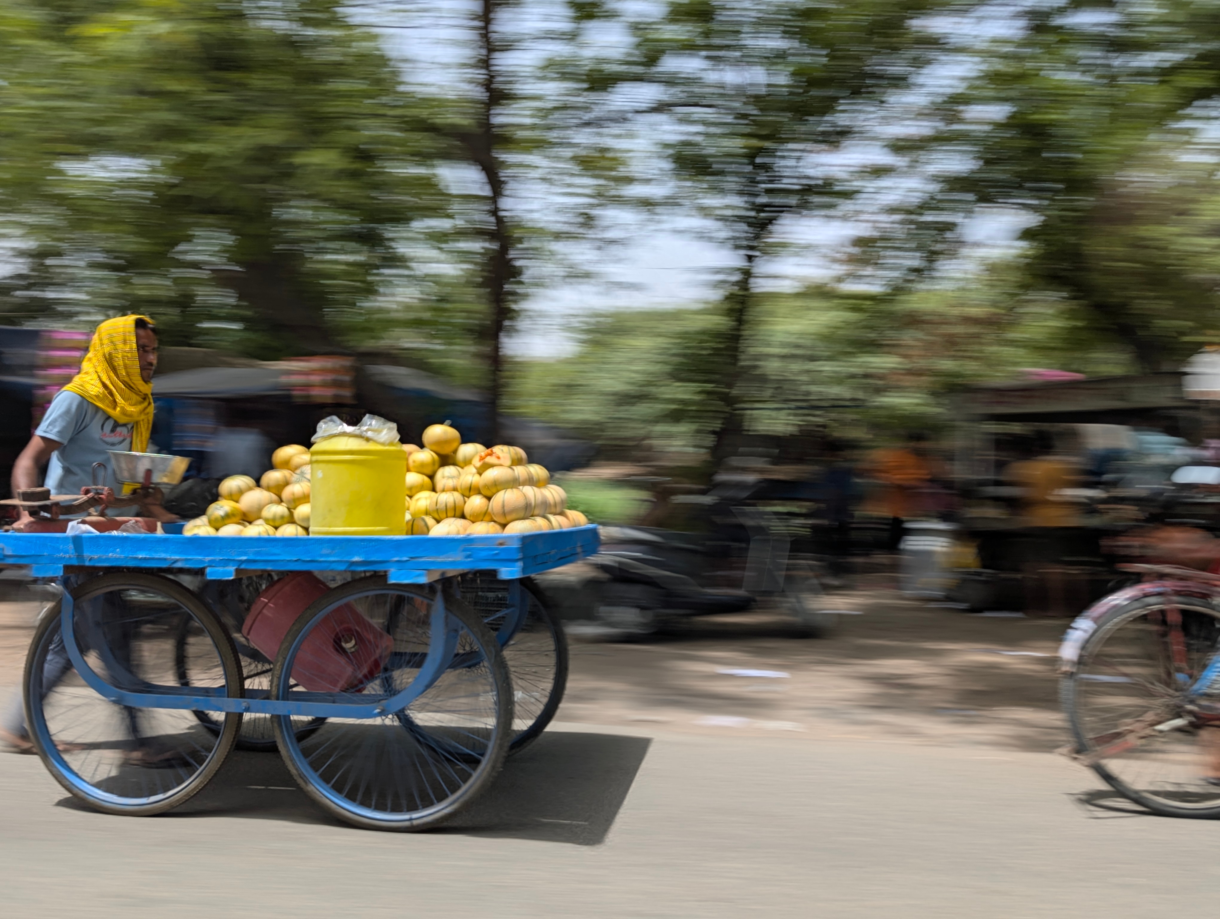 Gouden Driehoek Tour met Ranthambore vanuit New Delhi India customer review photo 5