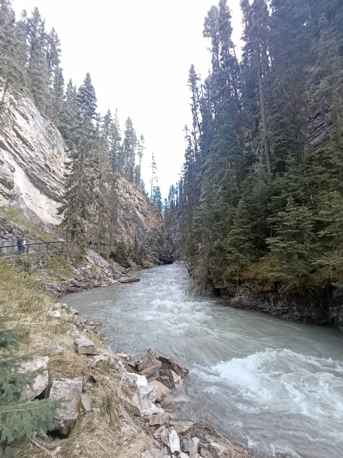 Flowing river through a rocky forested canyon.