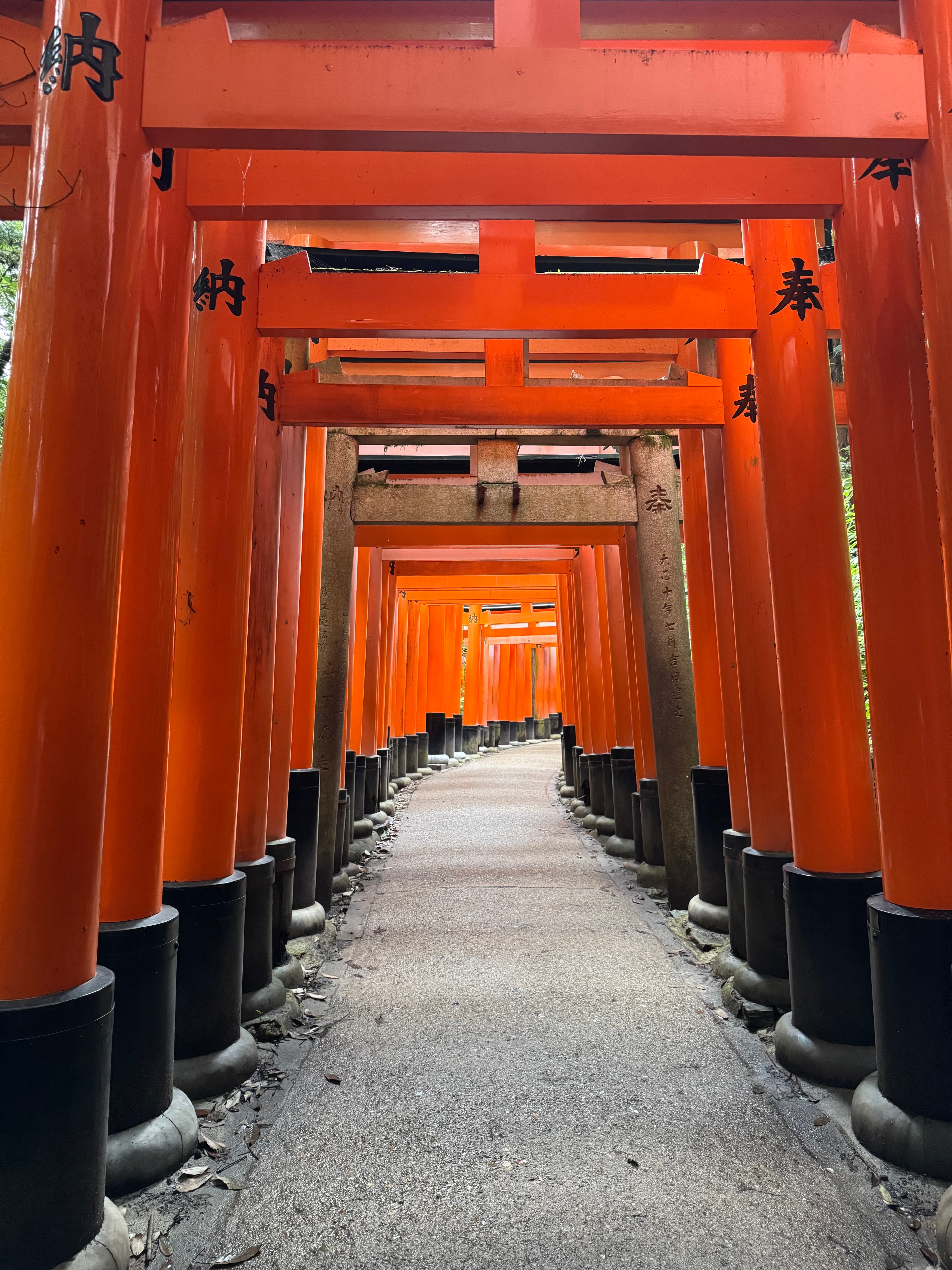 Japan Klassiker mit One Life Adventures 10 Tage customer review photo 4