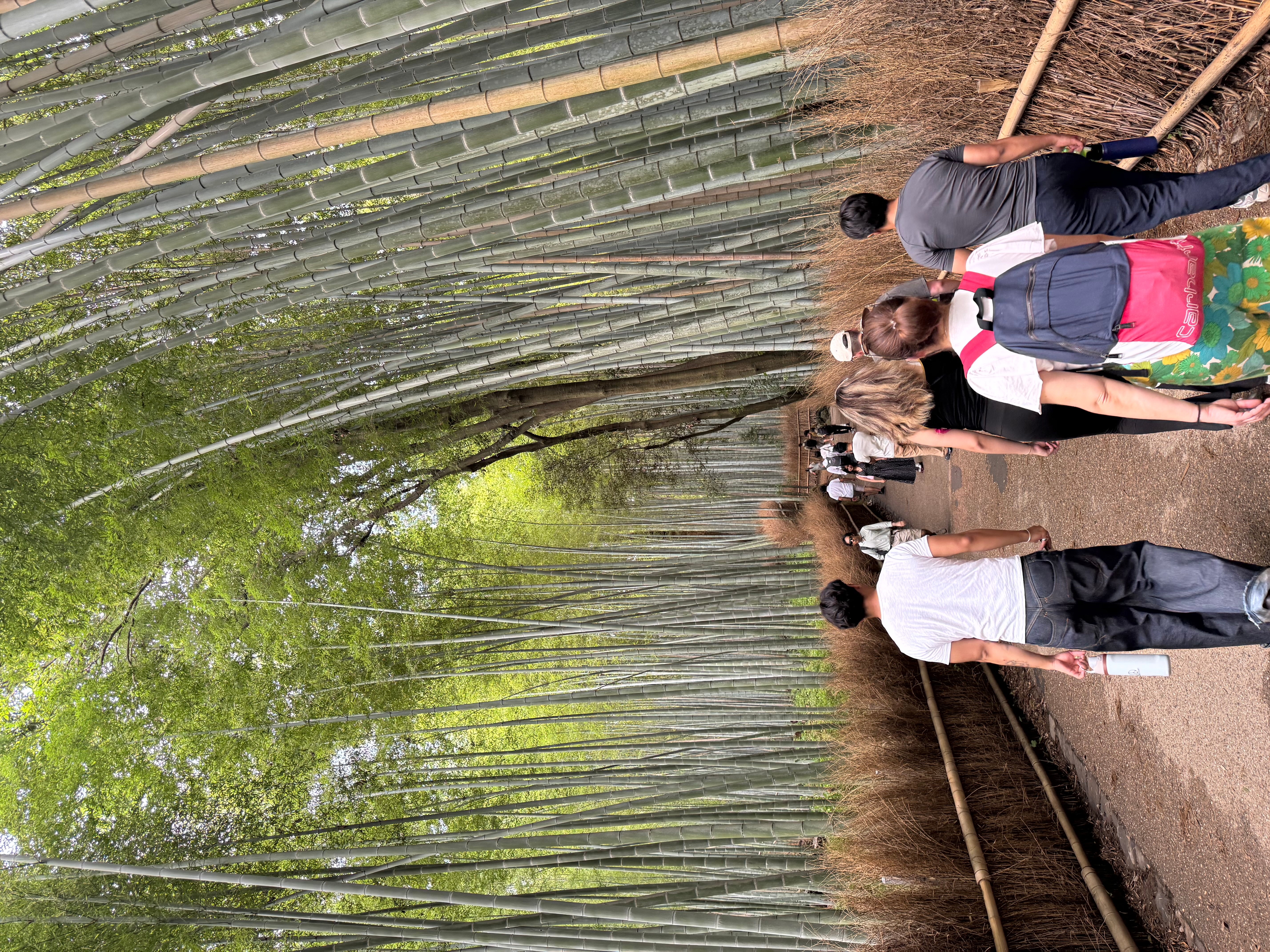 Japan Klassiker mit One Life Adventures 10 Tage customer review photo 5