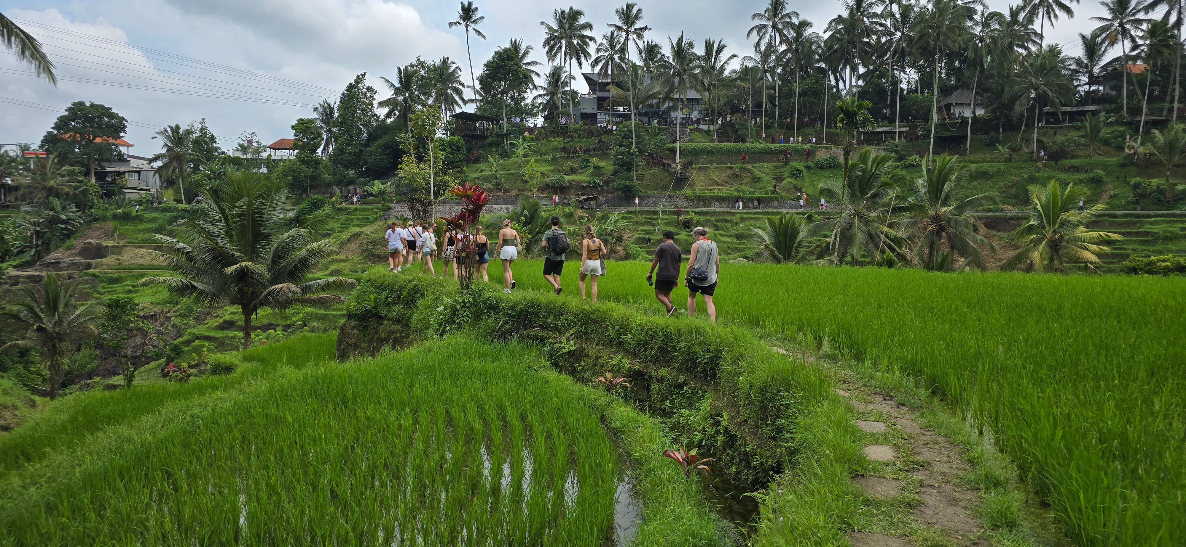 Bali Classic 12 jours - One Life Adventures customer review photo 1