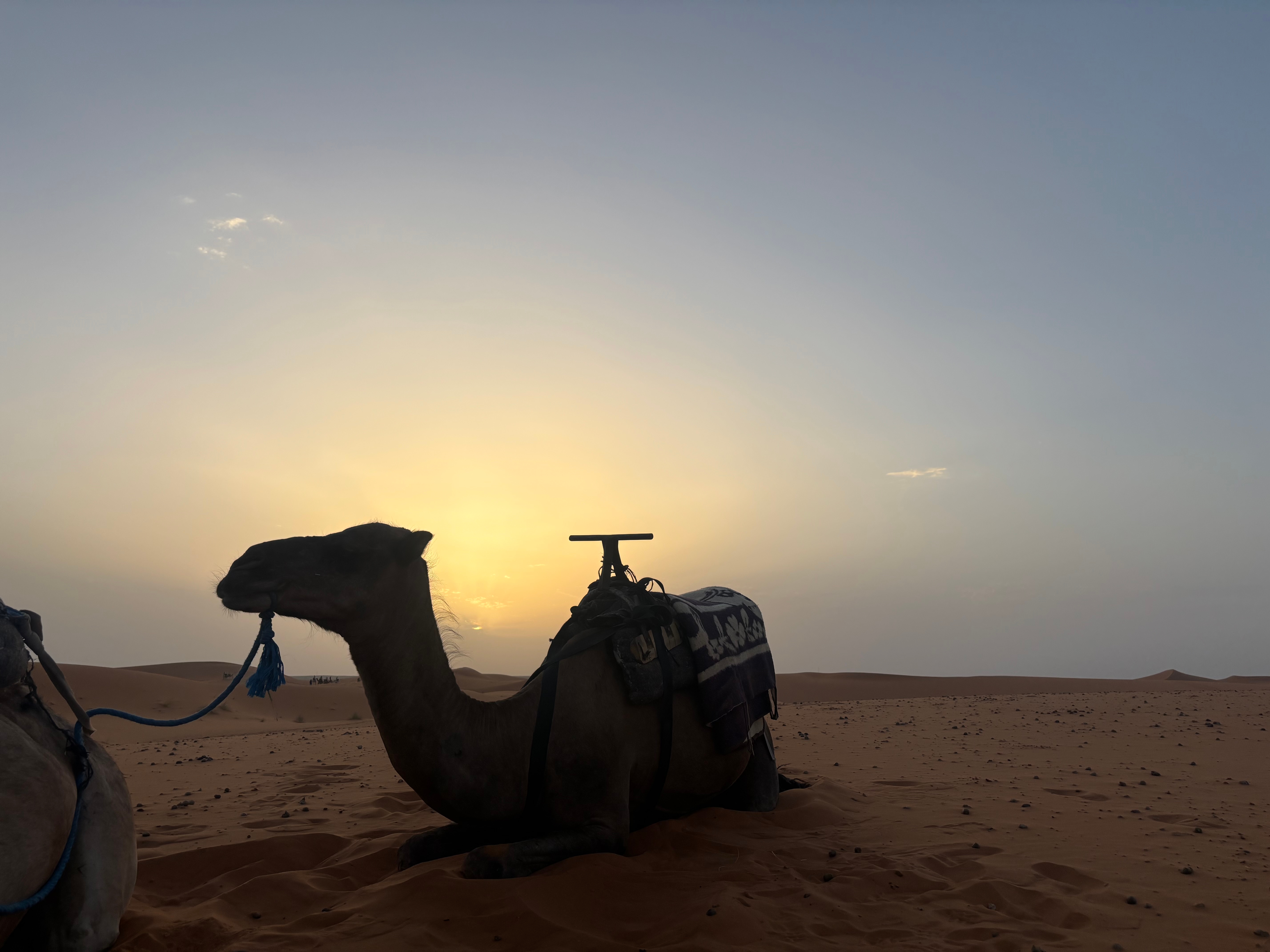 Aventure dans le Haut Atlas et le Sahara - 3 jours customer review photo 2