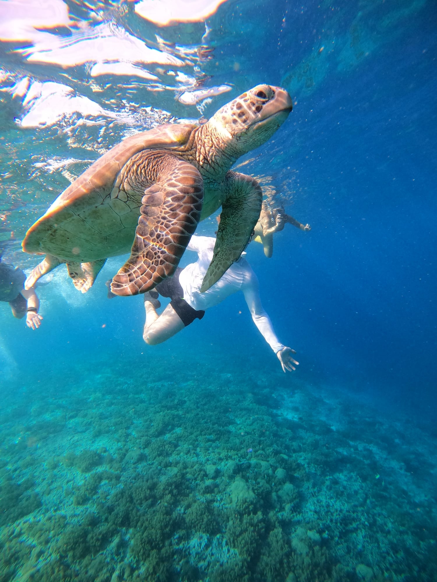 Bali Classic 12 jours - One Life Adventures customer review photo 1
