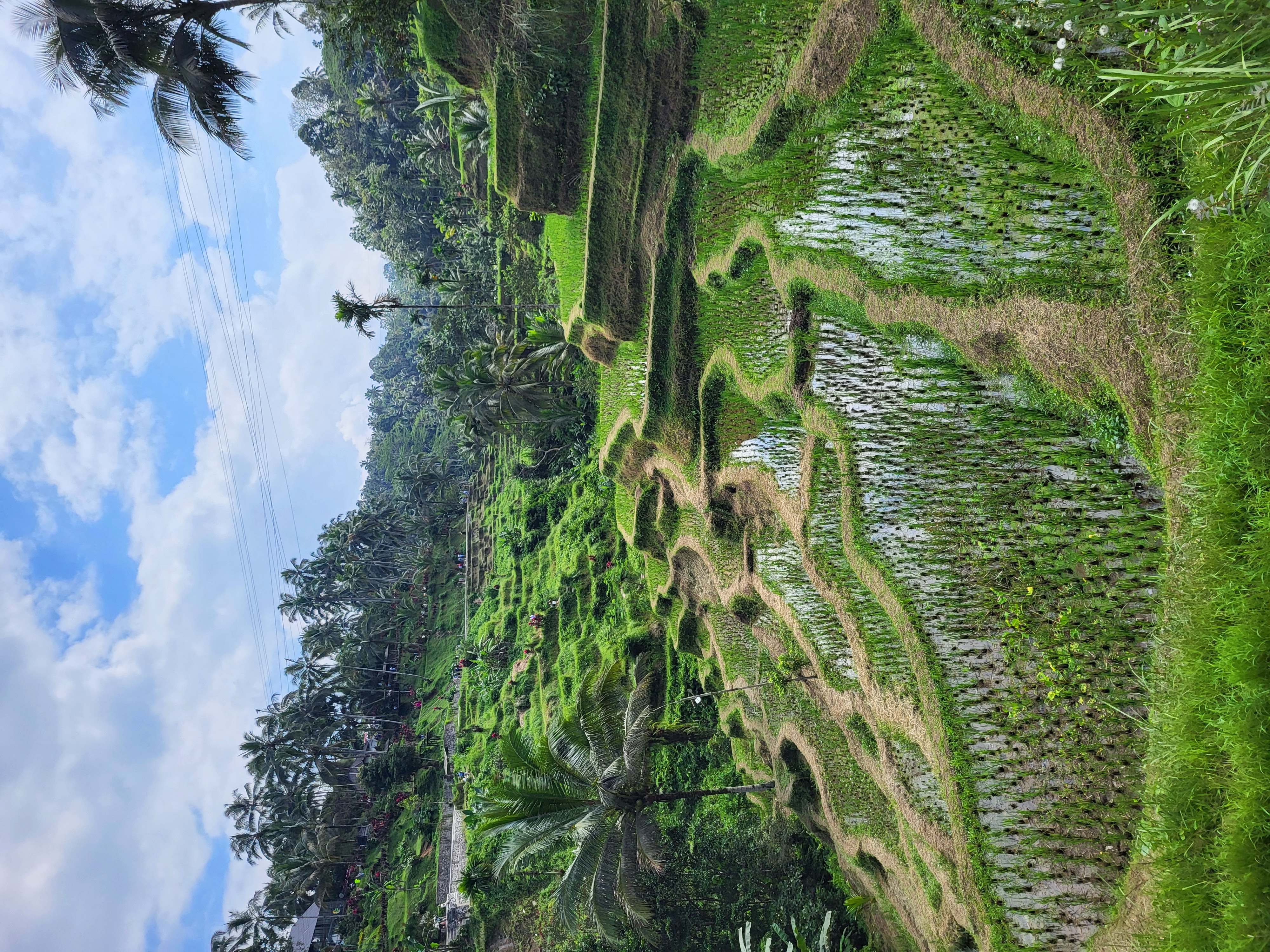 Bali Classic 12 jours - One Life Adventures customer review photo 3