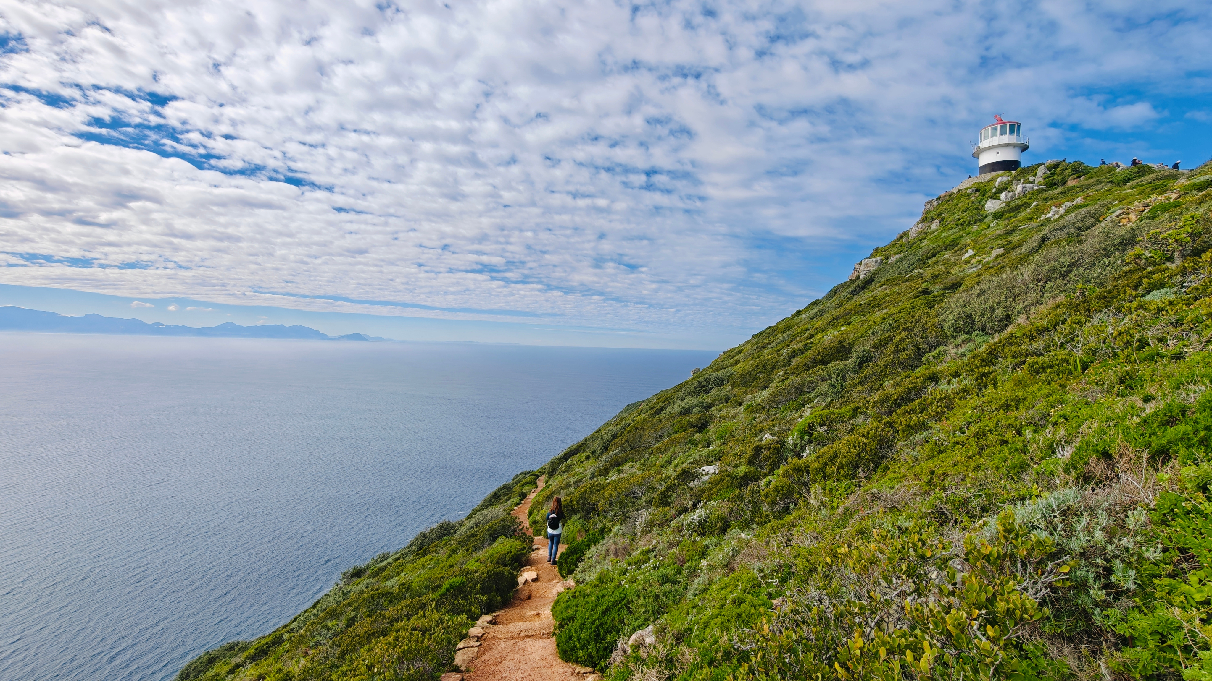 10 Tage Kapstadt, Garden Route & Addo Expedition customer review photo 1