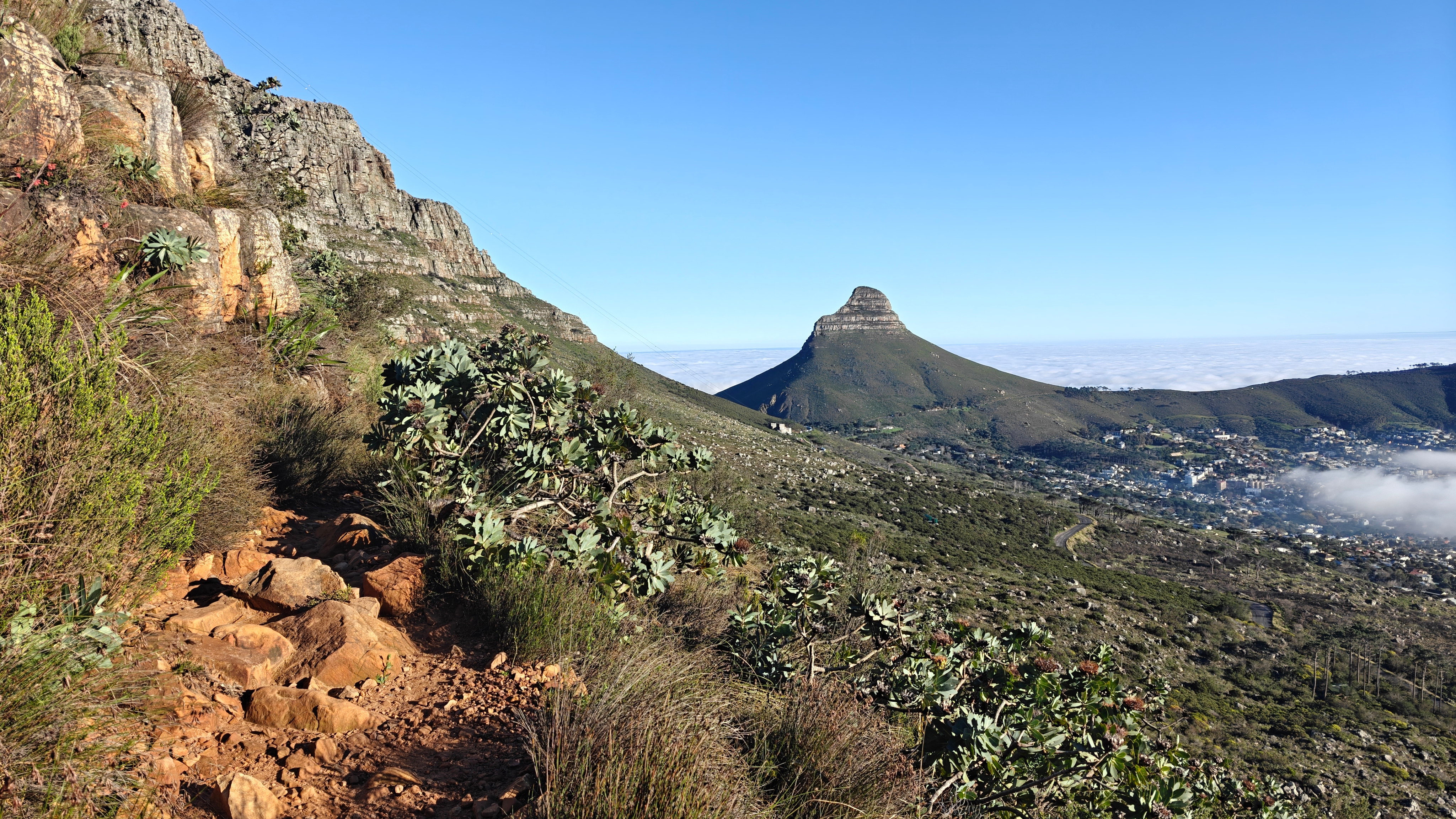 10 Tage Kapstadt, Garden Route & Addo Expedition customer review photo 4