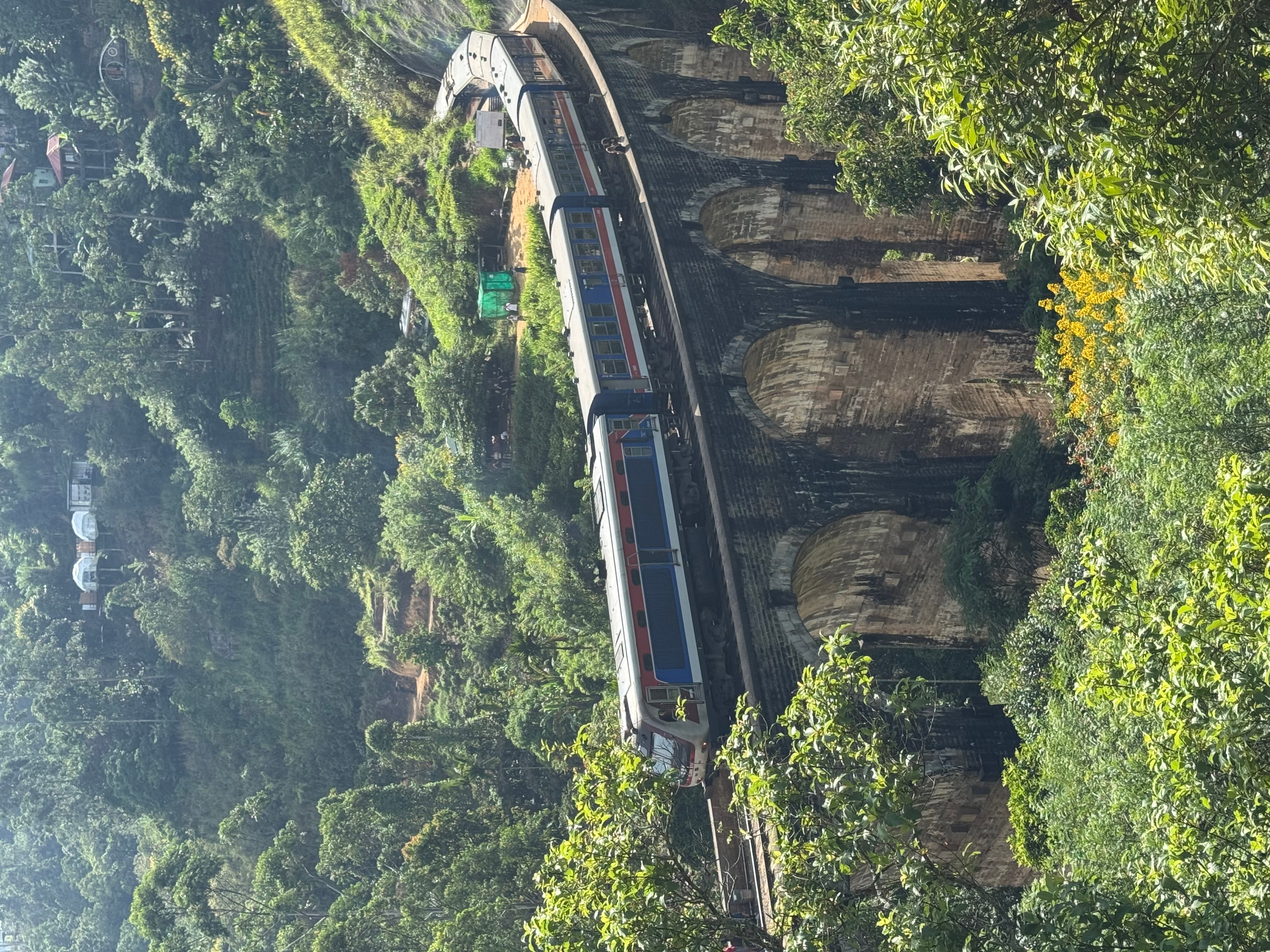 Splendour Of Sri Lanka 7 Tage customer review photo 1