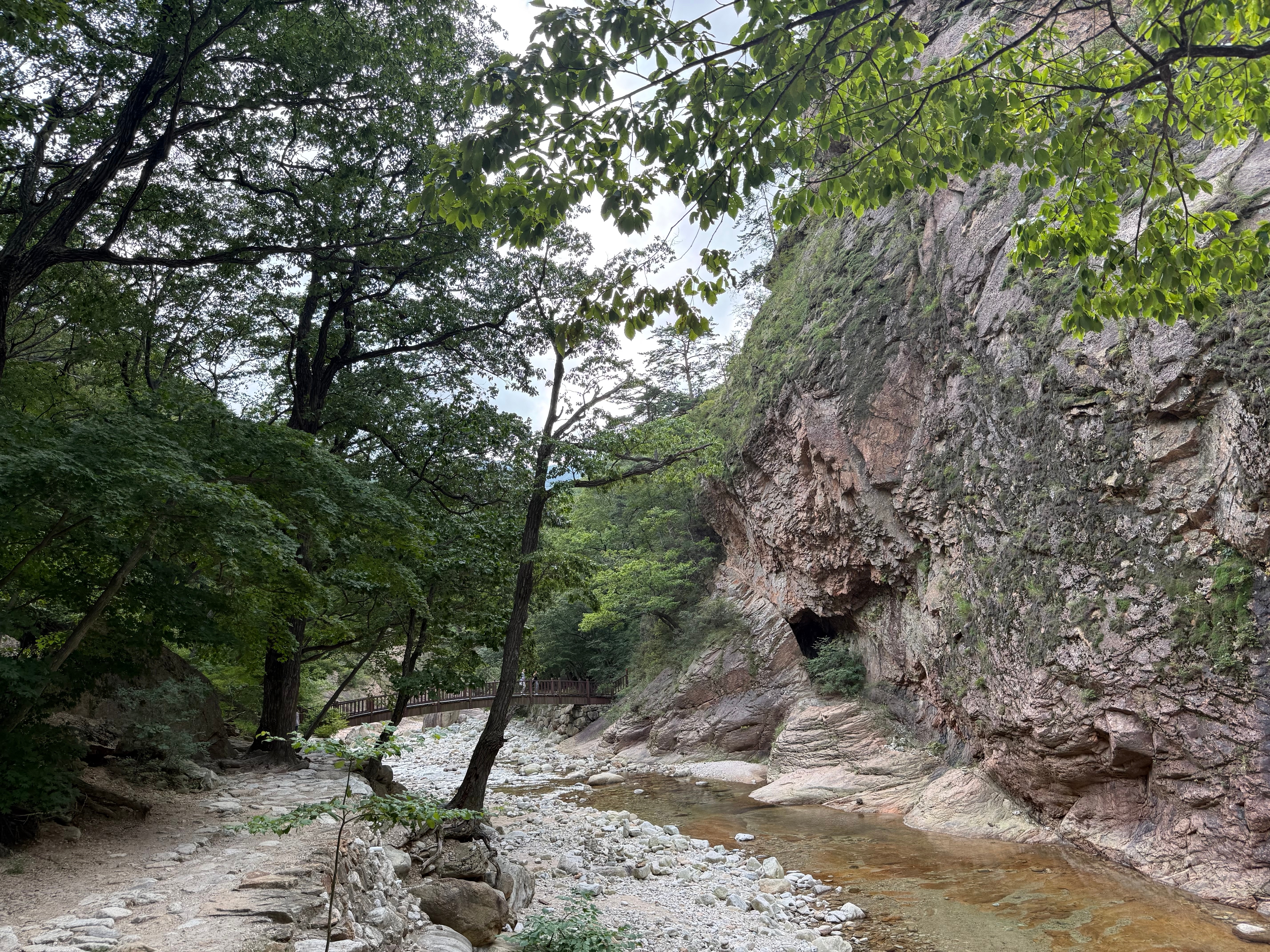 2026 Korea entdecken in 7 Tagen: mit DMZ Reise Option customer review photo 1