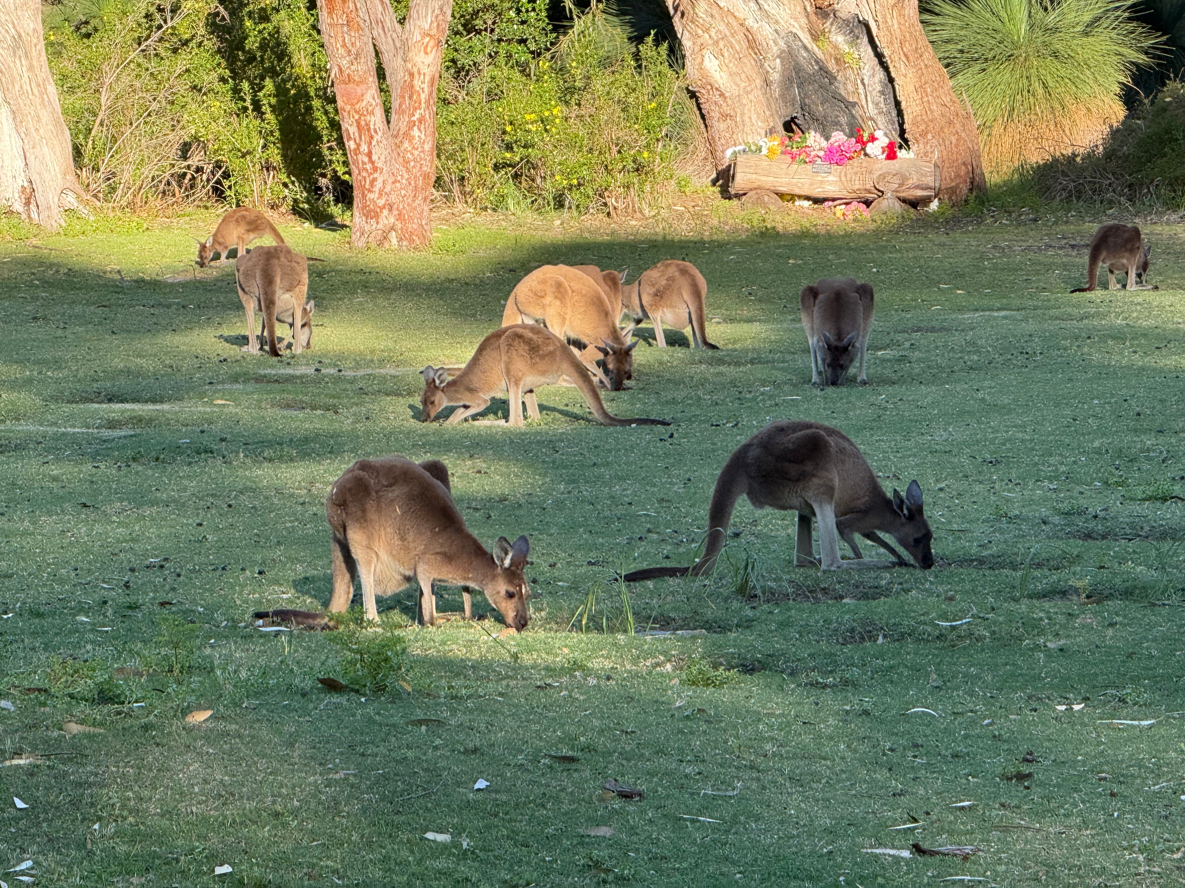 Perth nach Darwin Überlandreise customer review photo 3