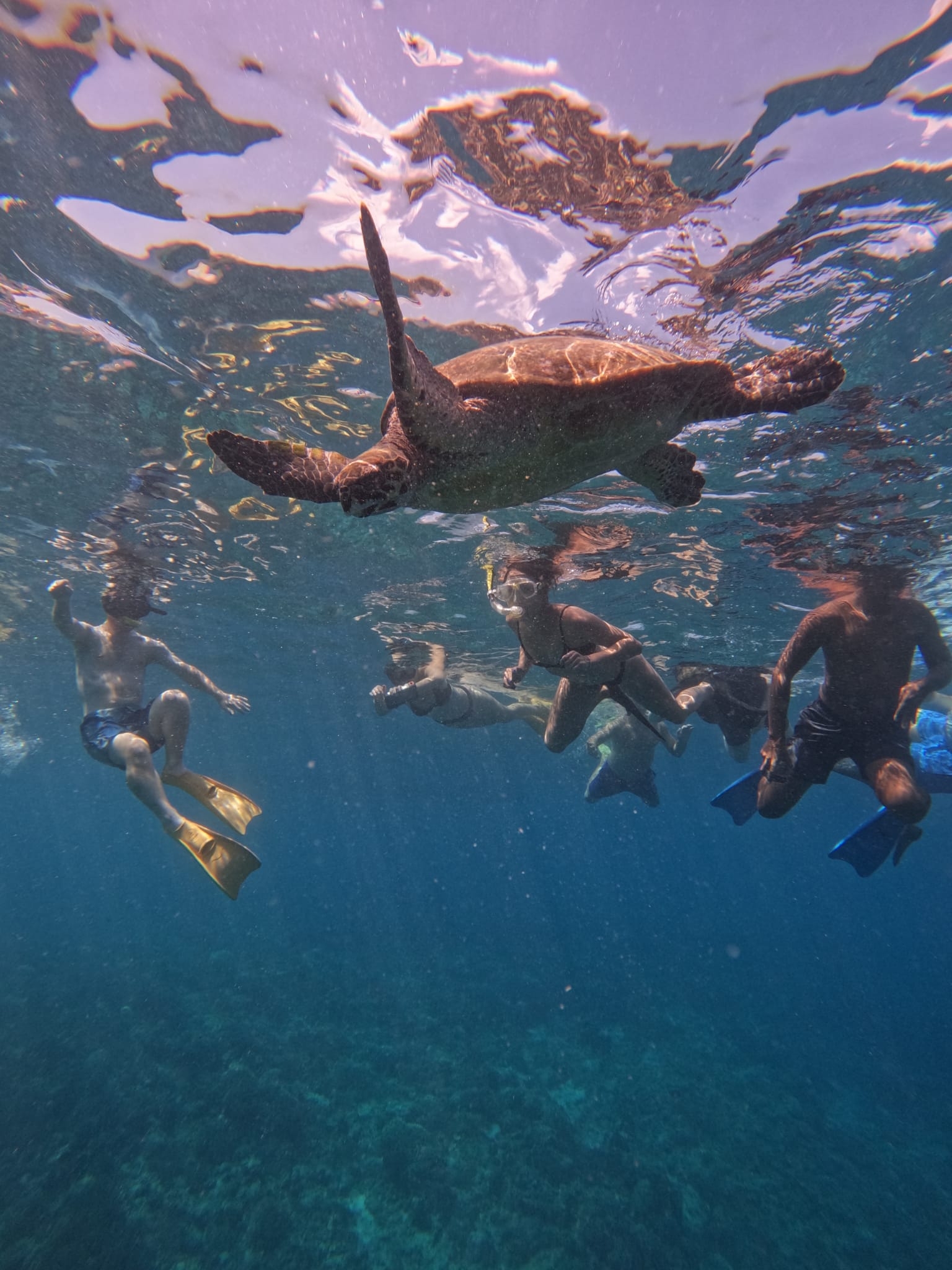 Bali Classic 12 jours - One Life Adventures customer review photo 1