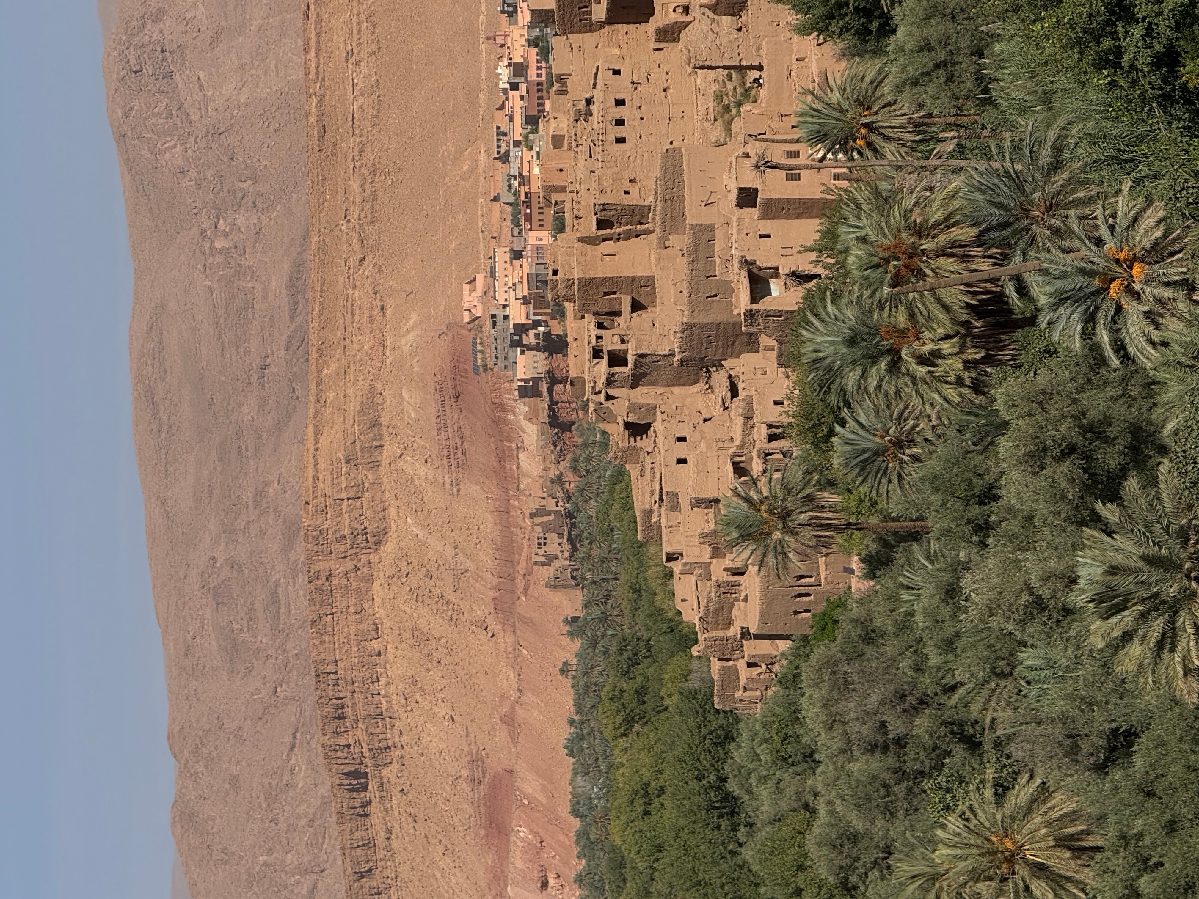 Sahara Abenteuer 4 Tage customer review photo 3
