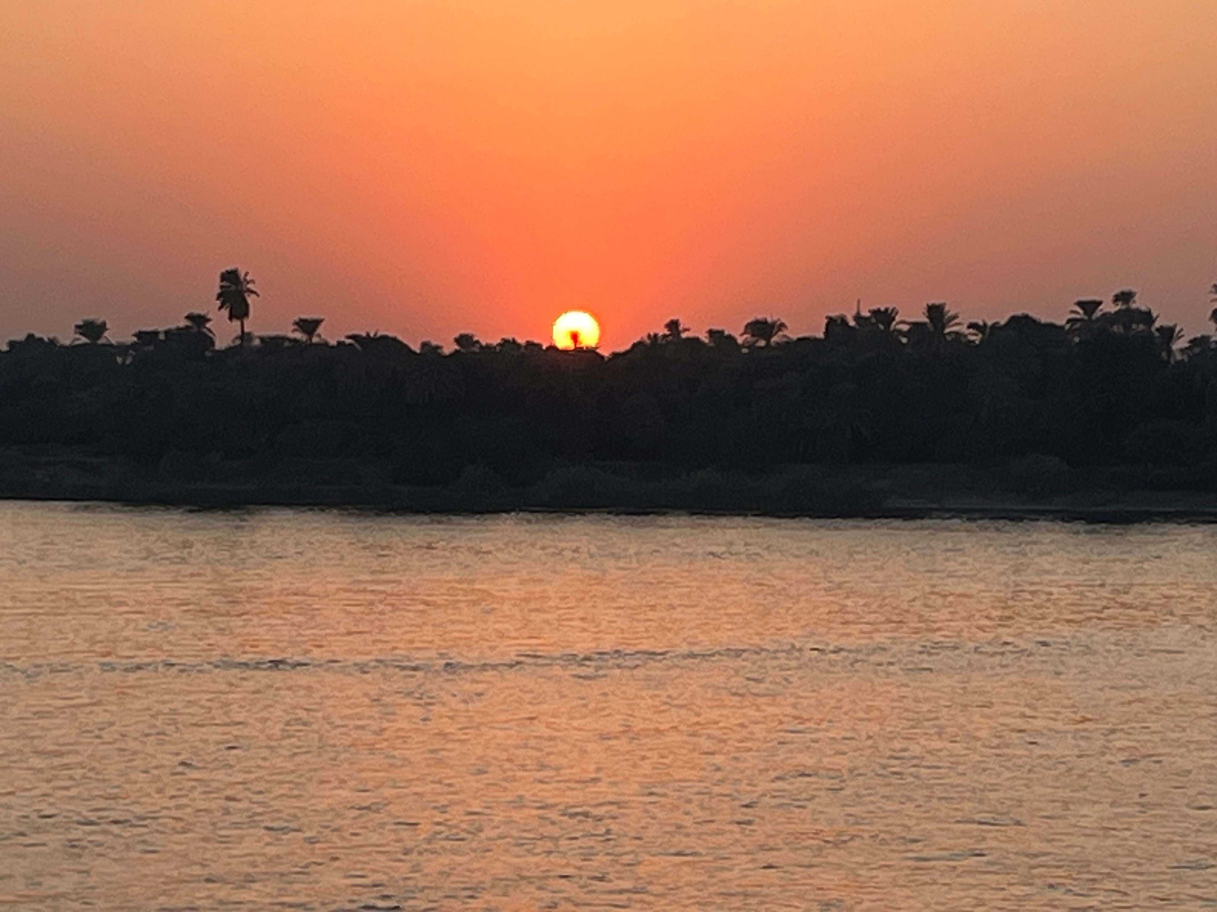 Queen Cleopatra - 7 days GEM visit- 5 stars accomodation customer review photo 3