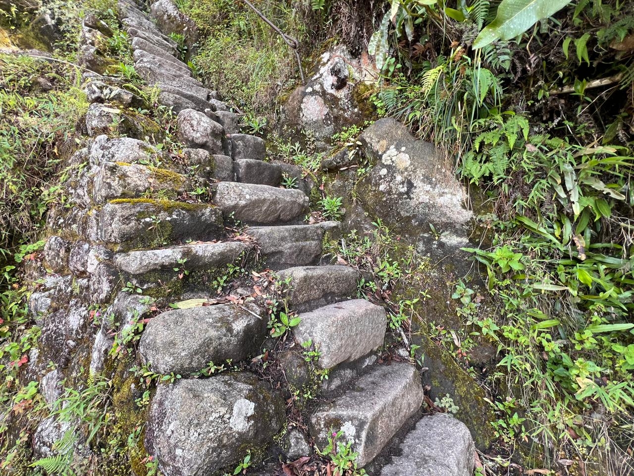 Aventuras Incas - 7 Días (Lima, Paracas, Ica, Cusco, Machu Picchu y Montaña Arco Iris) - Con Vuelos Nacionales customer review photo 1