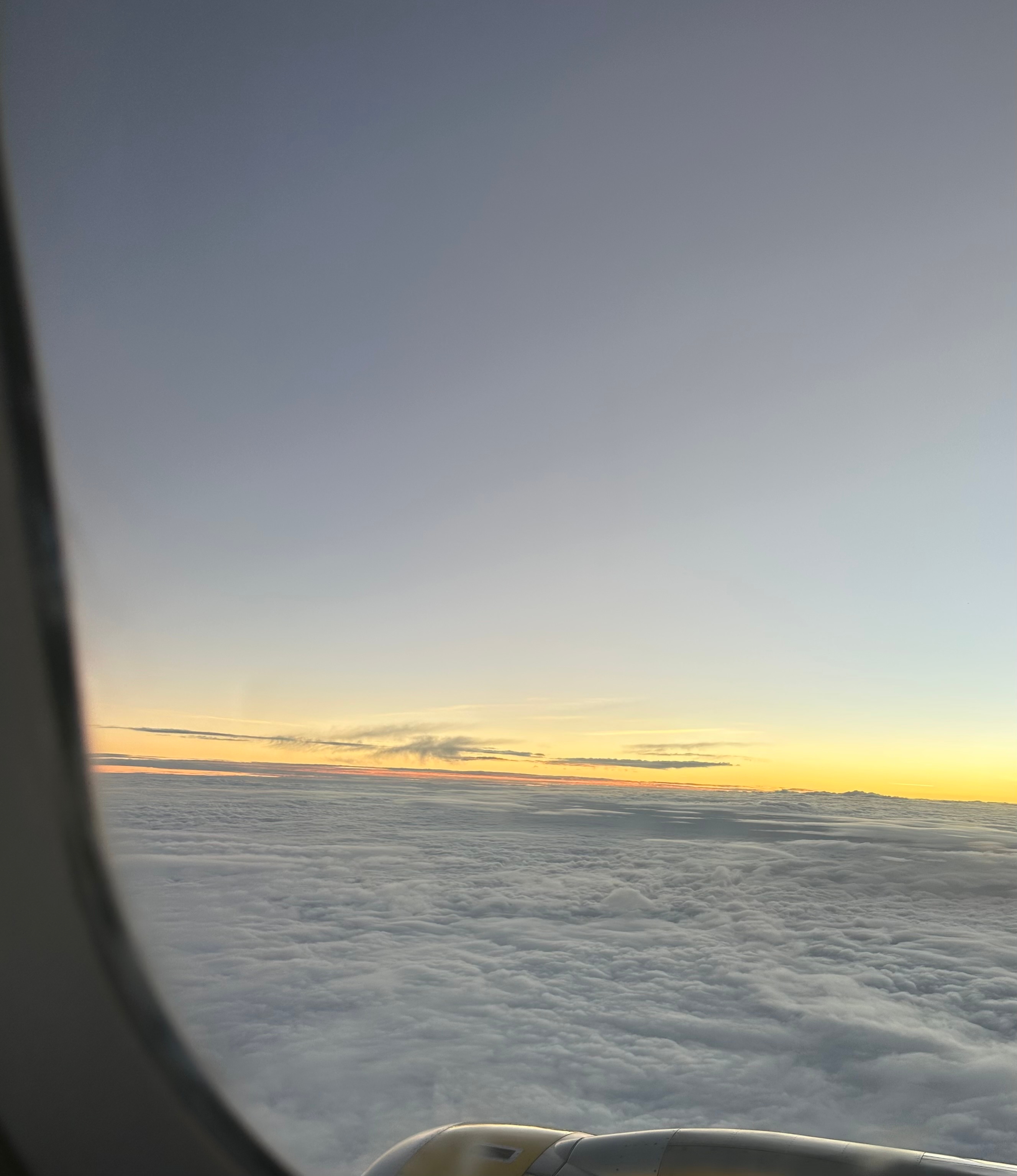 Vietnam para principiantes: El perfecto viaje introductorio de 7 días con Up Travel Vietnam customer review photo 3