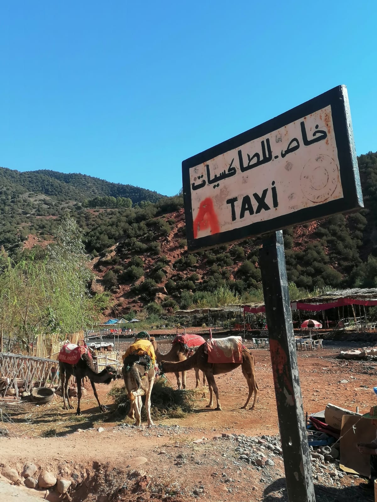 Von Marrakesch nach Merzouga - 4 Tage customer review photo 3