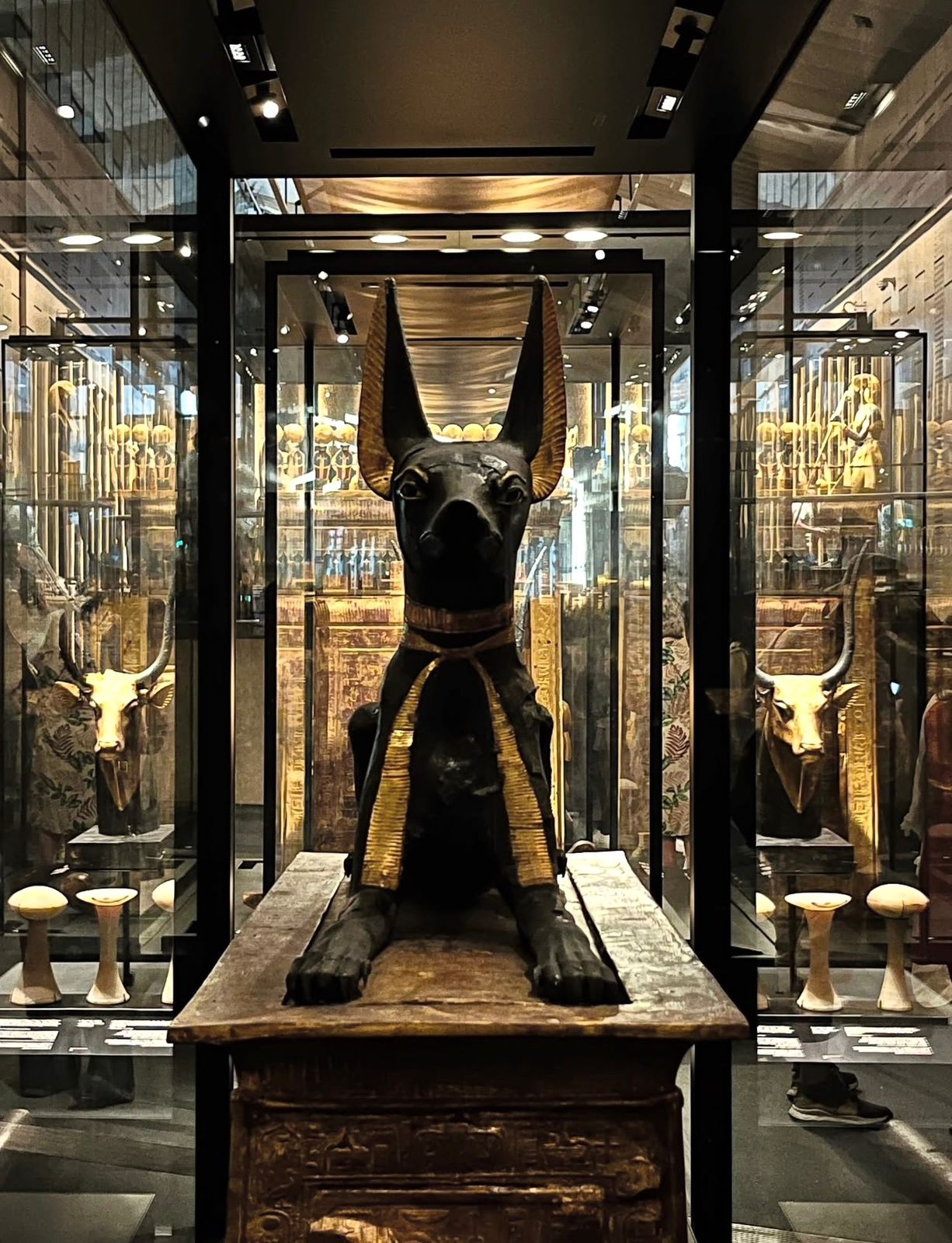 Pharaohs and Pyramids (Luxury Private tour) customer review photo 5